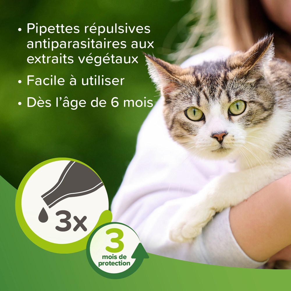 Pipettes répulsives antiparasitaires à l'Eucalyptus pour chat