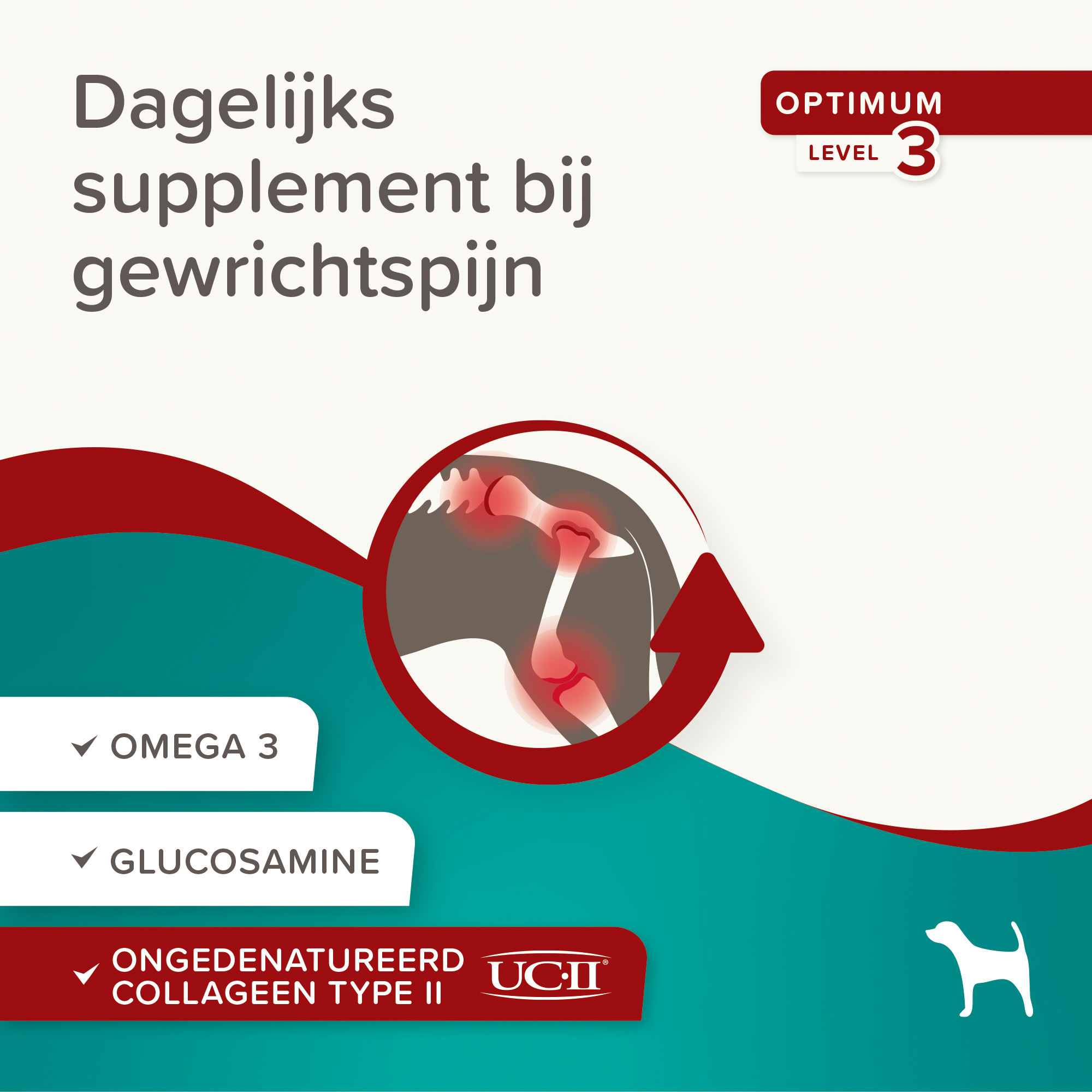 Beaphar Flexifit® Chews hond 175g