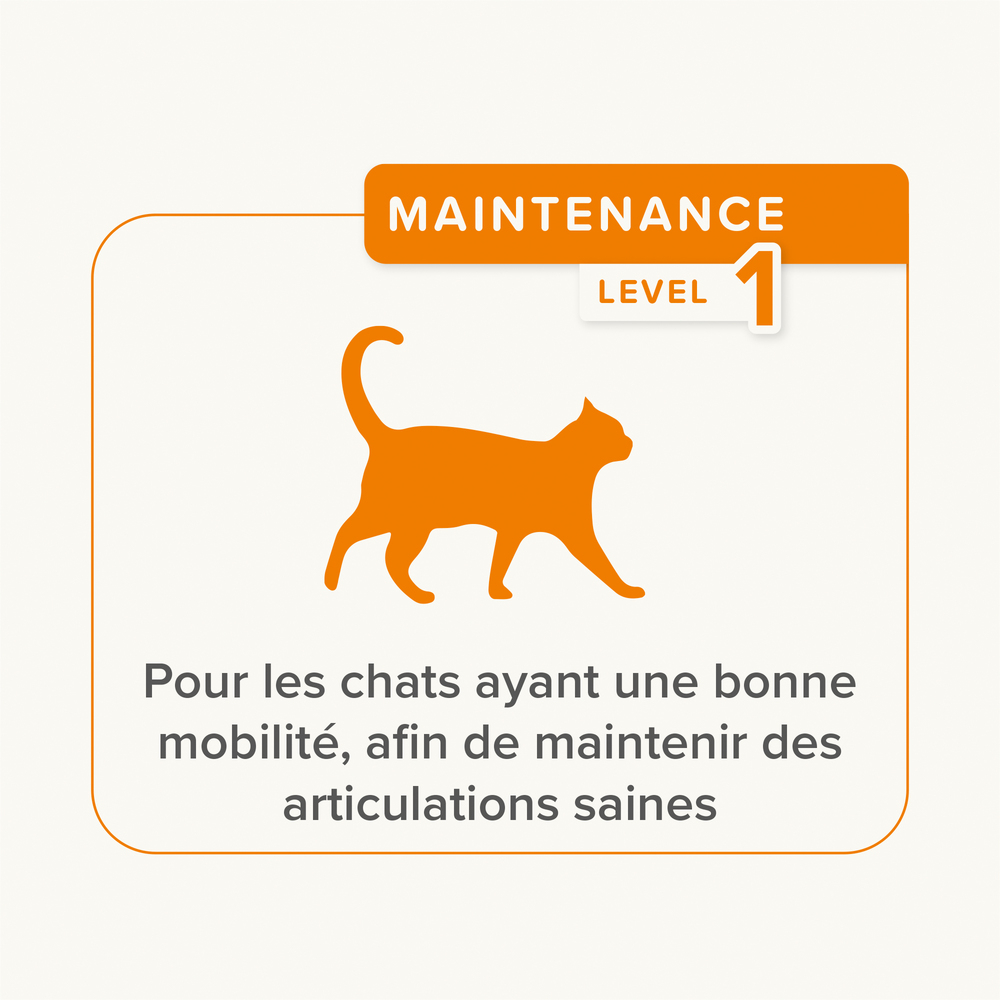 Flexifit®, Friandises articulations pour chat - 35g