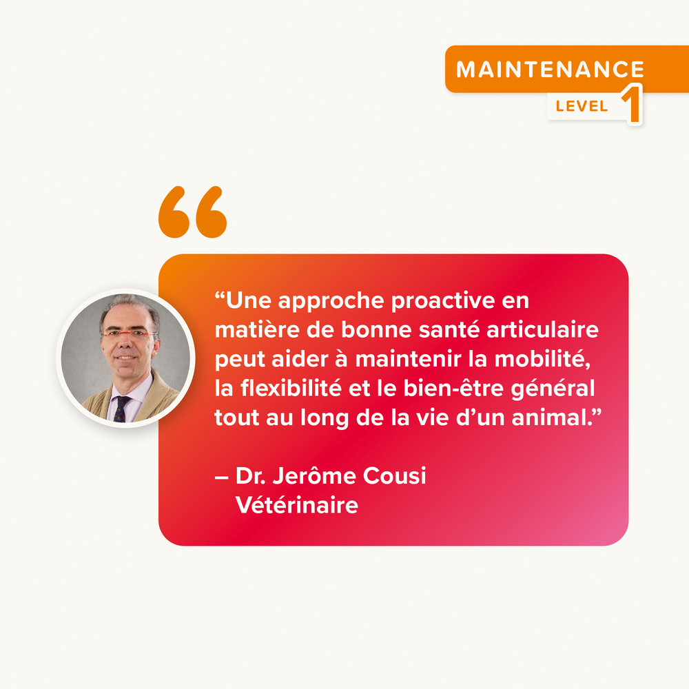 Flexifit®, Friandises articulations pour chat - 35g