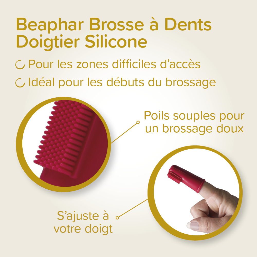 COMBI-PACK dentaire Chiot : dentifrice + 2 brosses à dents