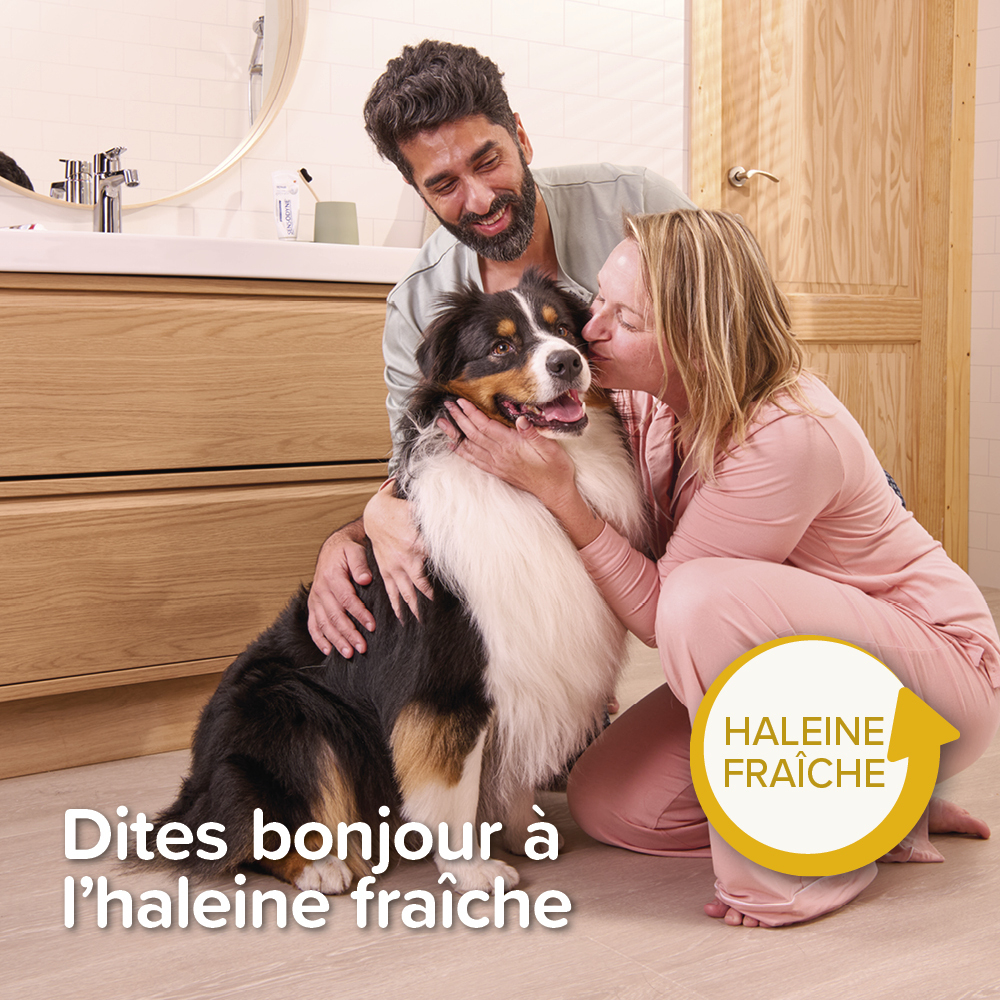 COMBI-PACK dentaire Chiot : dentifrice + 2 brosses à dents