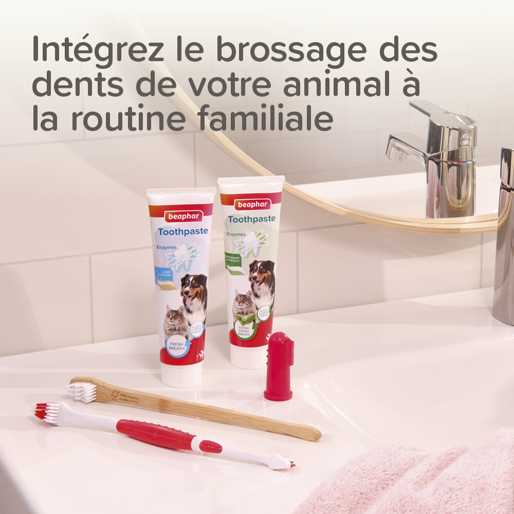 COMBI-PACK dentaire Chiot : dentifrice + 2 brosses à dents