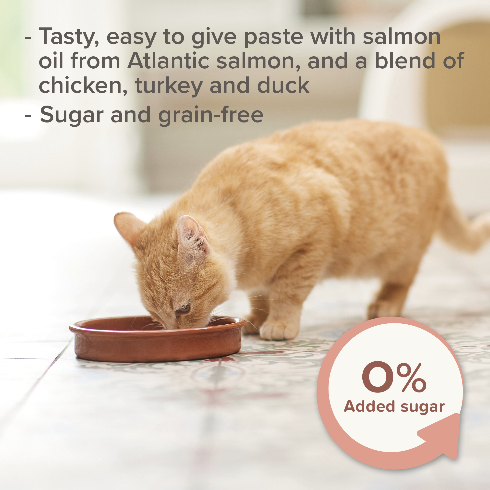 Beaphar Salmon Oil Paste for Cats, 100g