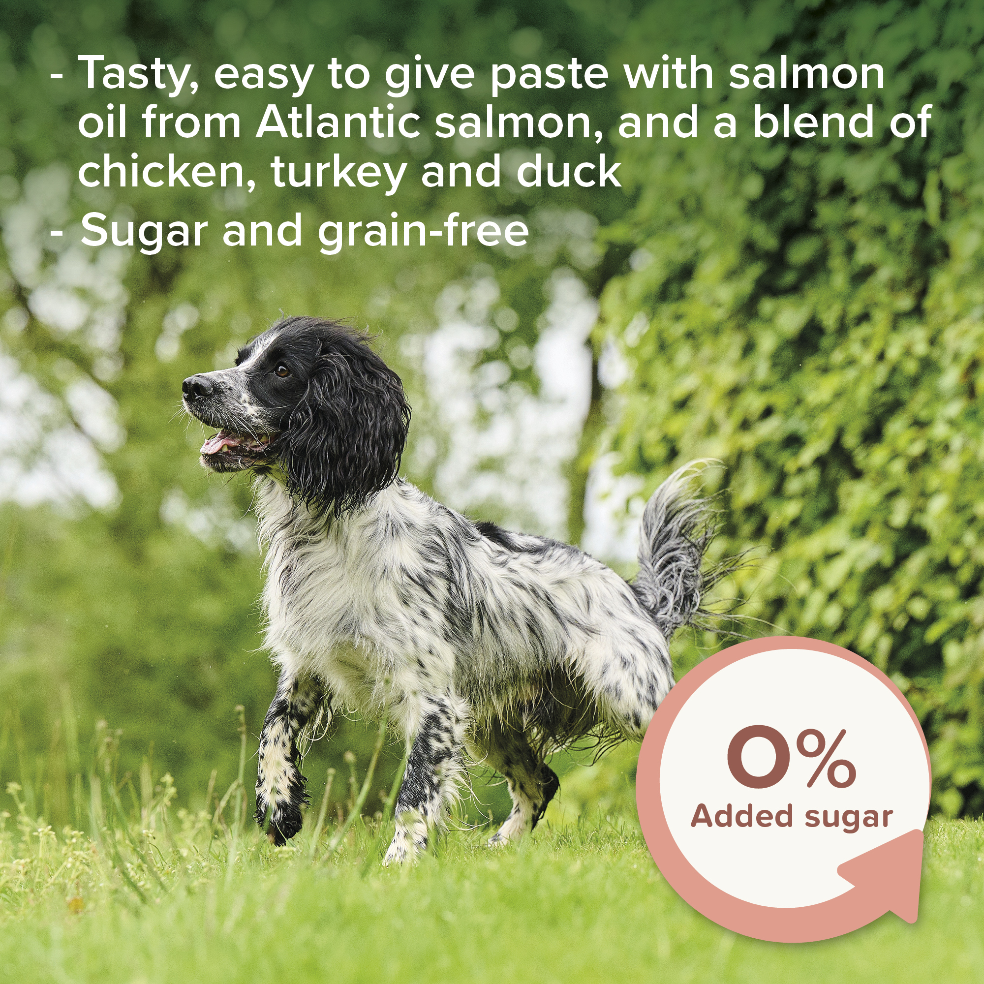 Beaphar Salmon Oil Paste for Dogs, 100g