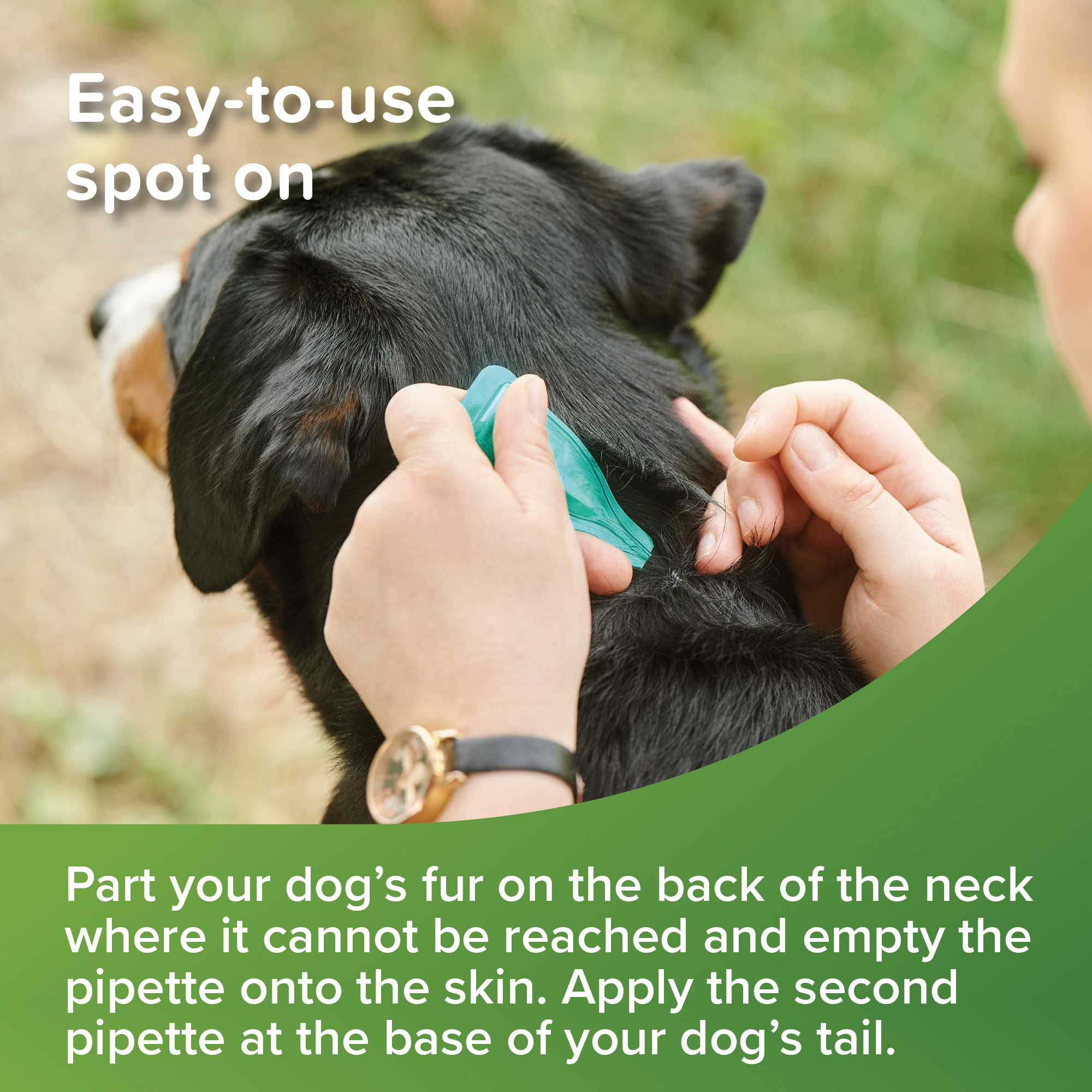 Beaphar VETOpure Plant-Based Protection Flea Spot-On for Dogs over 15 kg | 6 Pipettes