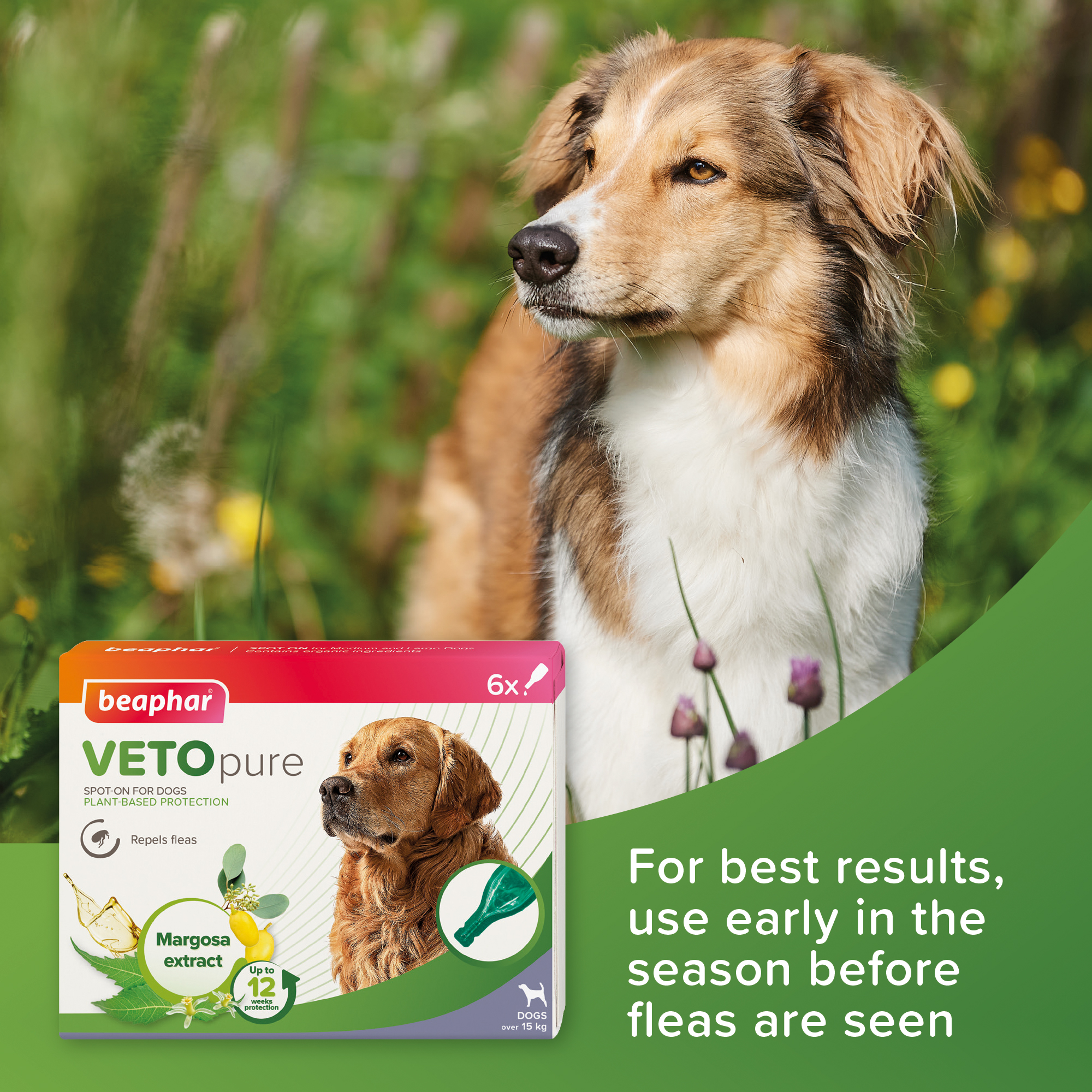 Beaphar VETOpure Plant-Based Protection Flea Spot-On for Dogs over 15 kg | 6 Pipettes