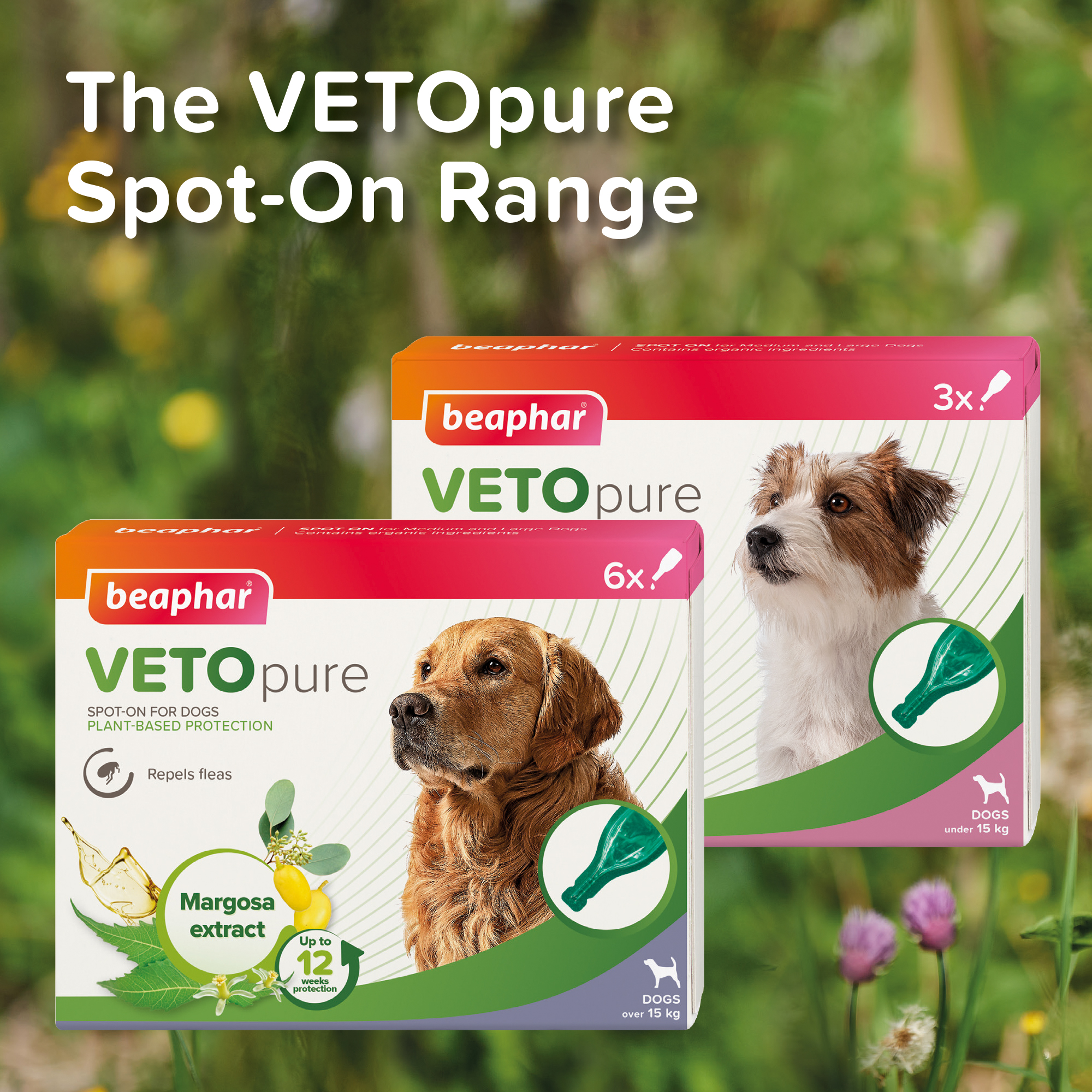 Beaphar VETOpure Plant-Based Protection Flea Spot-On for Dogs over 15 kg | 6 Pipettes