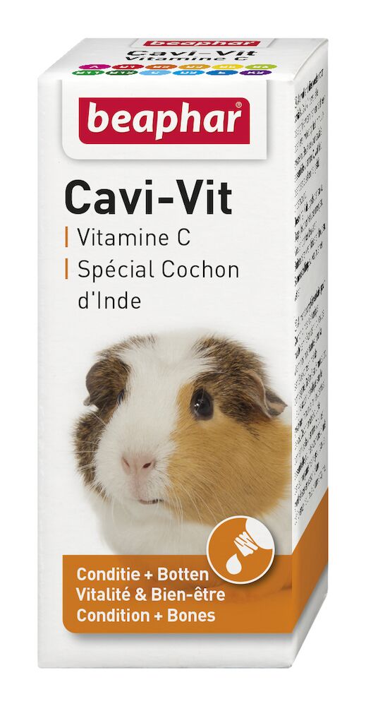 Vitamine C, cochon d’Inde