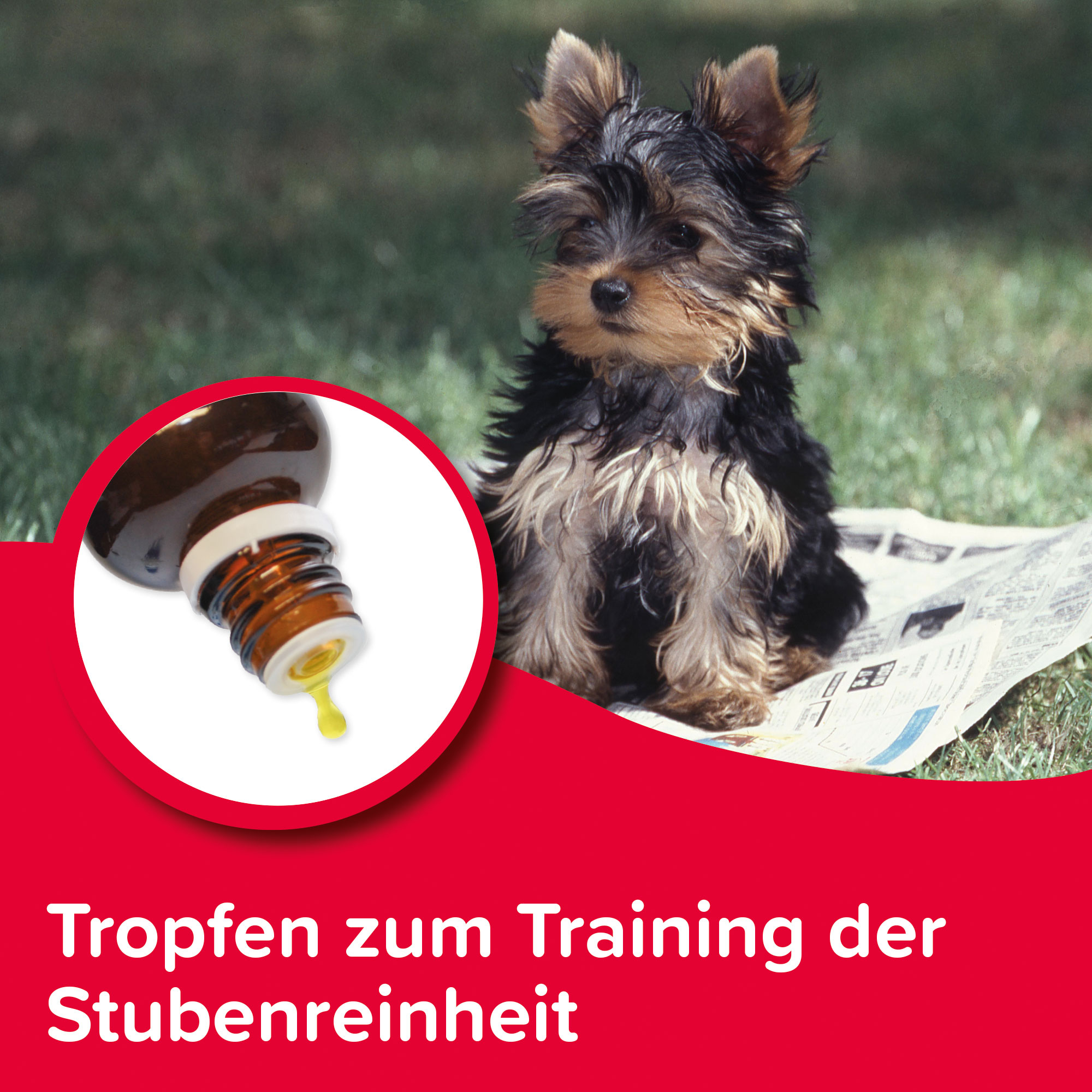 Beaphar Puppy Trainer, 20ml