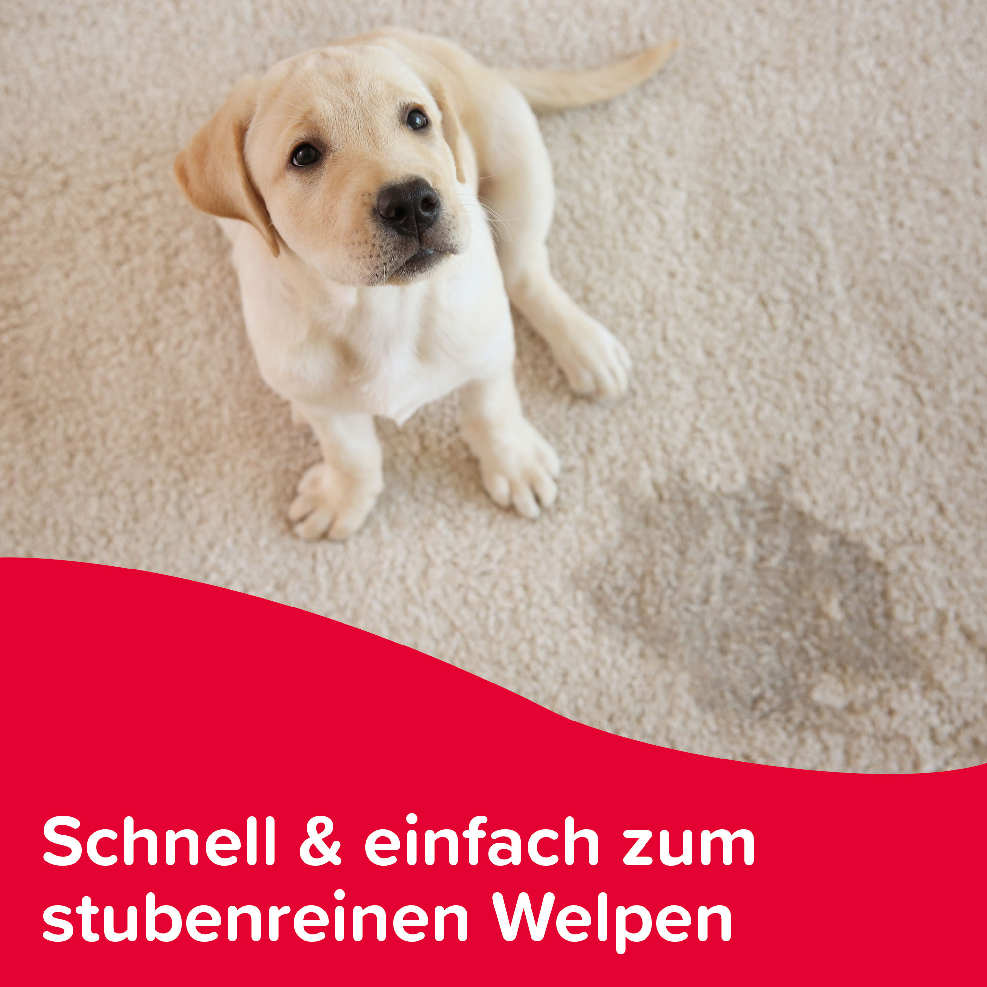 Beaphar Puppy Trainer, 20ml