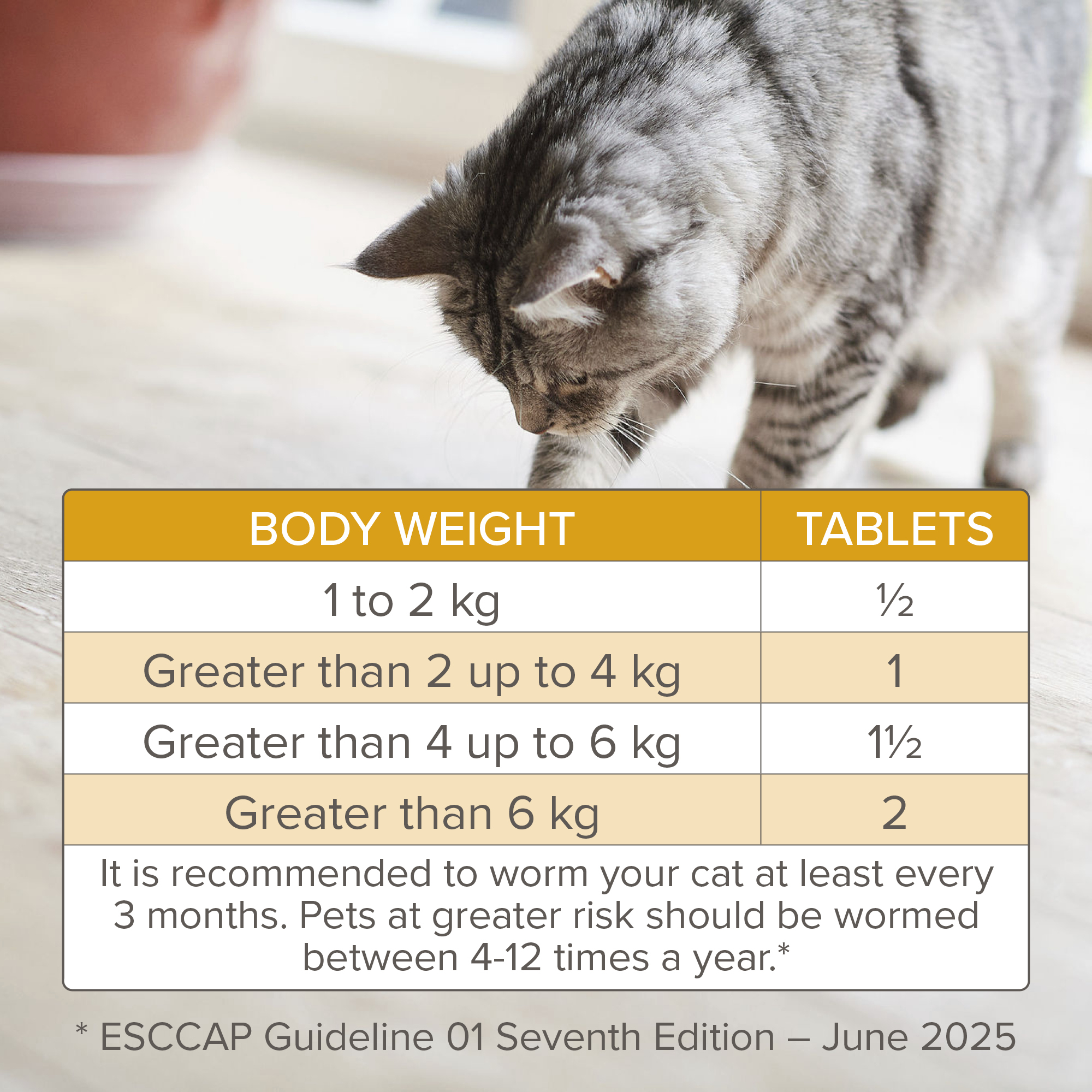 Beaphar WORMclear® Tablets for Cats - 2 Tablets
