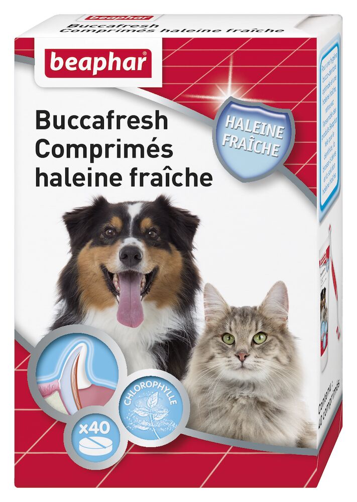 Buccafresh, comprimés haleine fraîche