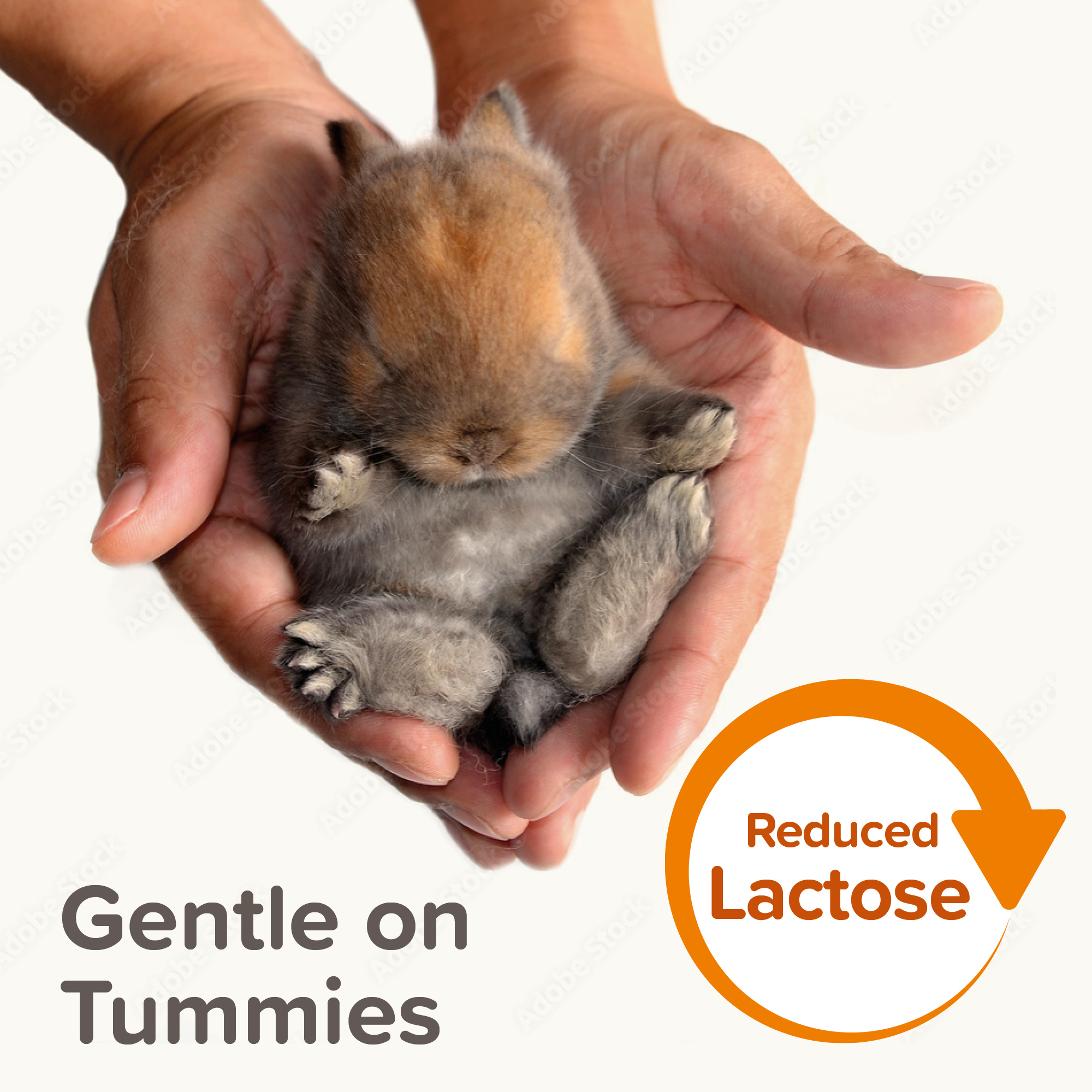 Beaphar Small Animal Milk – Milk Replacer for Baby Rabbits, Guinea Pigs & Other Small Animals (200g)