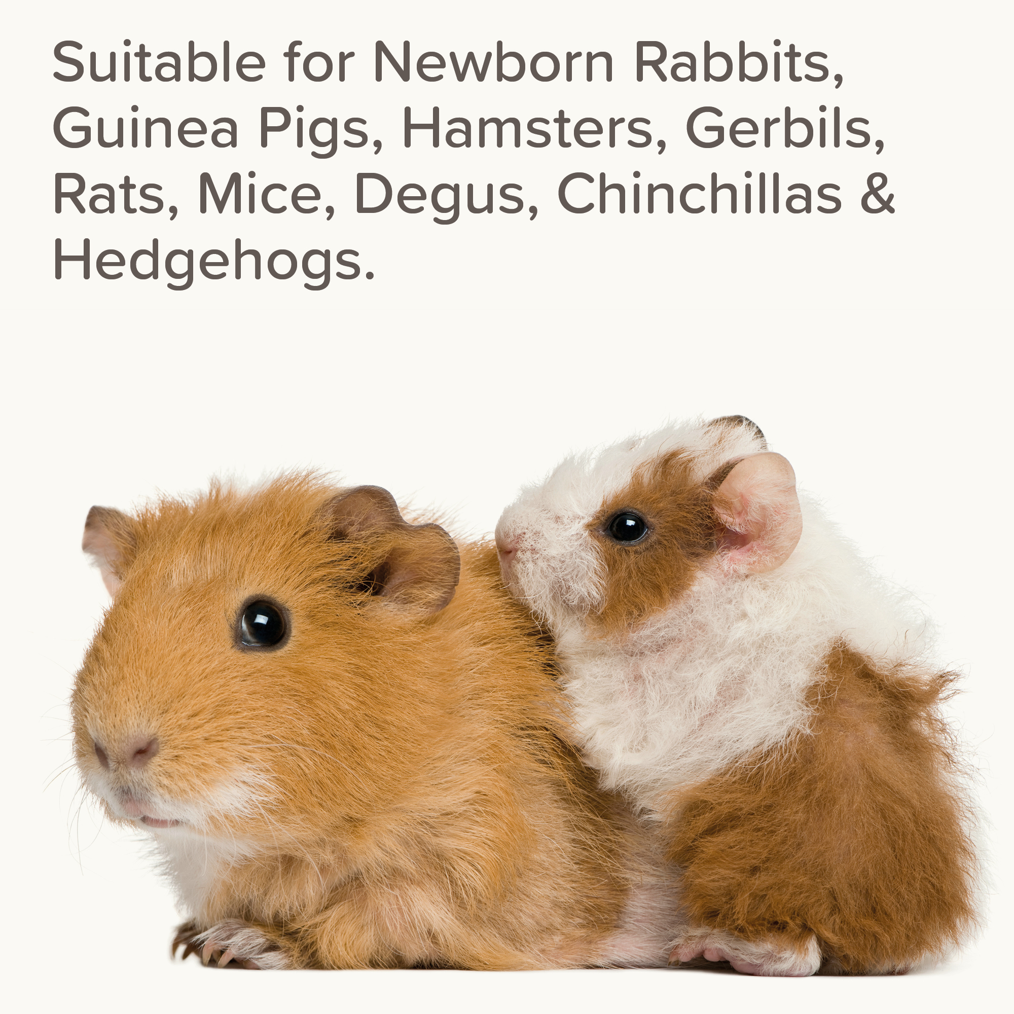 Beaphar Small Animal Milk – Milk Replacer for Baby Rabbits, Guinea Pigs & Other Small Animals (200g)