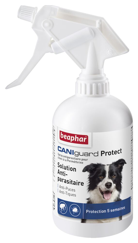 CANIguard Protect spray pour chien à la Perméthrine - 250 ml