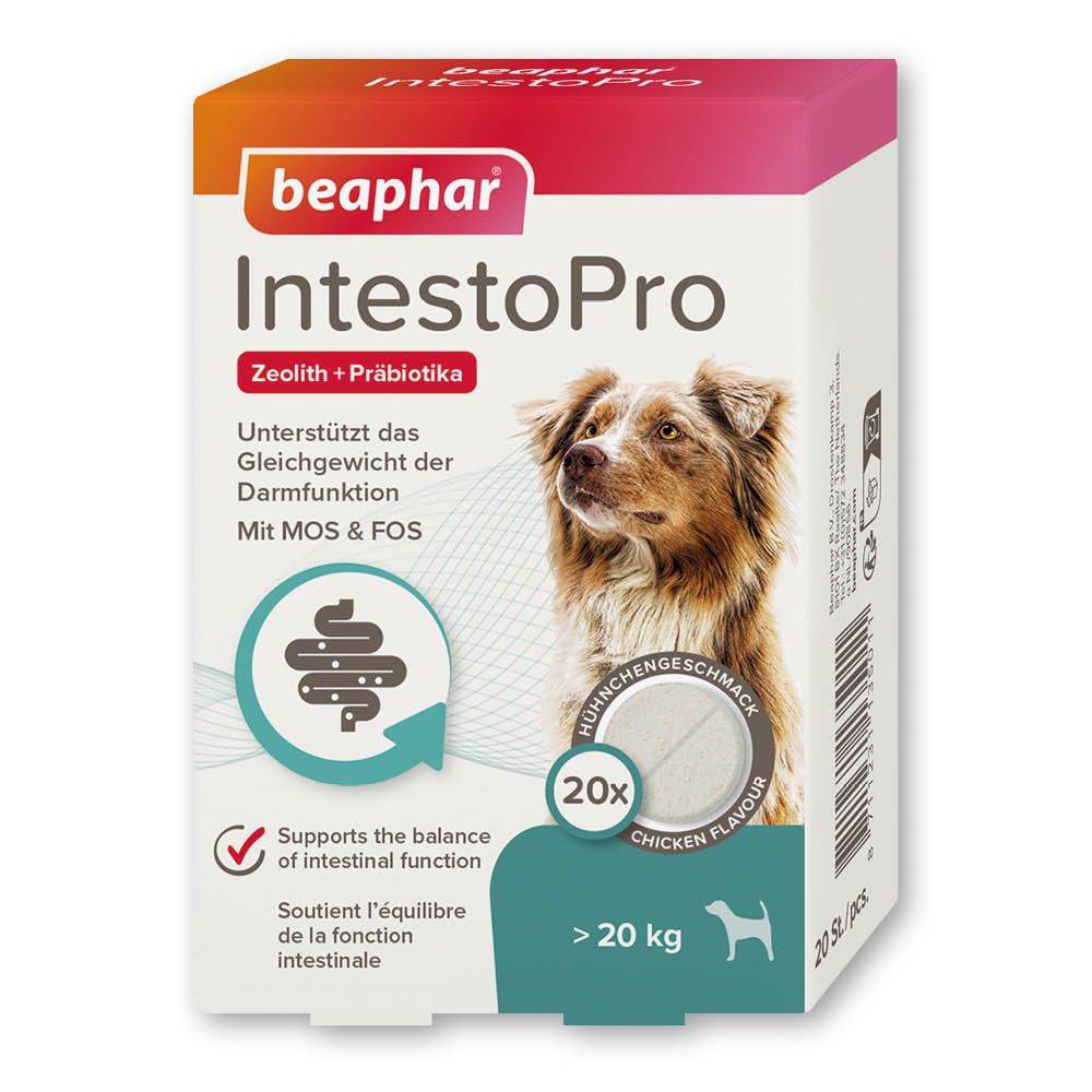 IntestoPro Tabs für große Hunde, 20 Stück