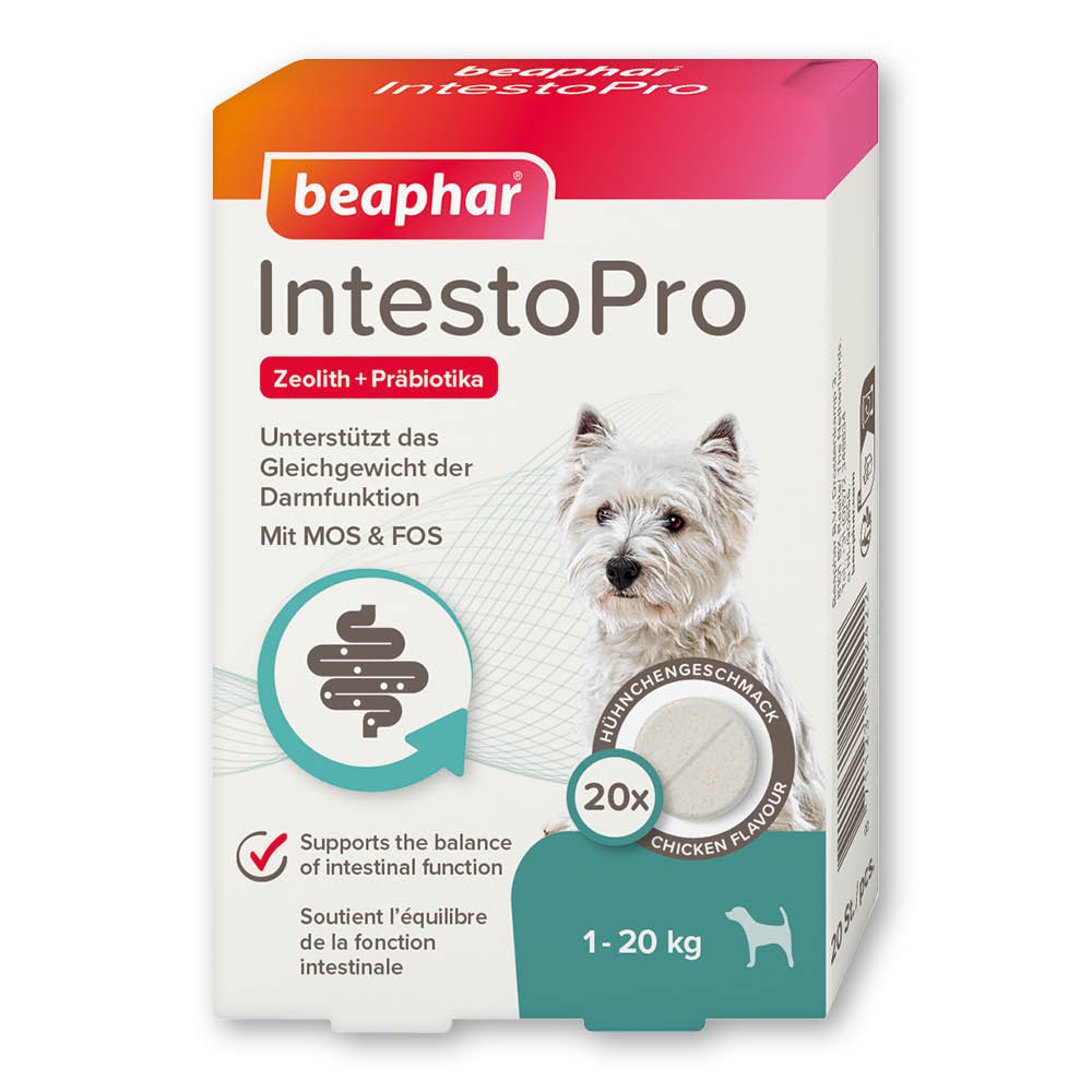 Beaphar IntestoPro Tabs für kleine Hunde, 20 Stück