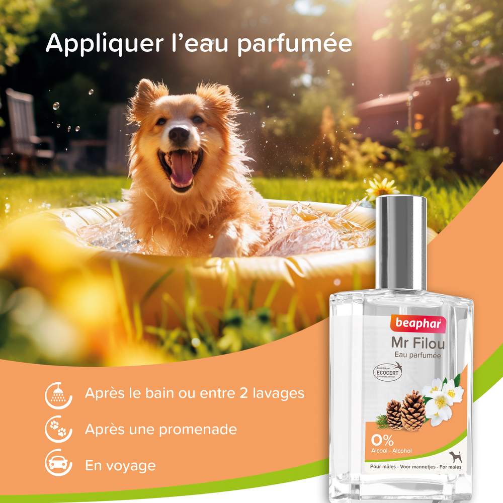 Eau Parfumée Mr. Filou pour Chien - Mâle