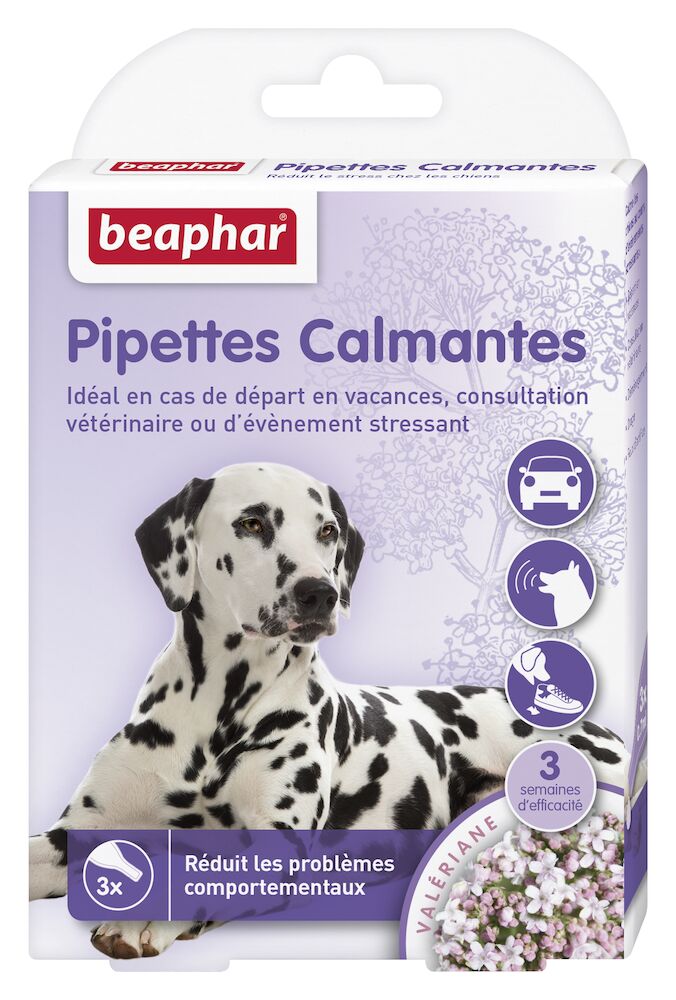Pipettes calmantes pour chien à la Valériane