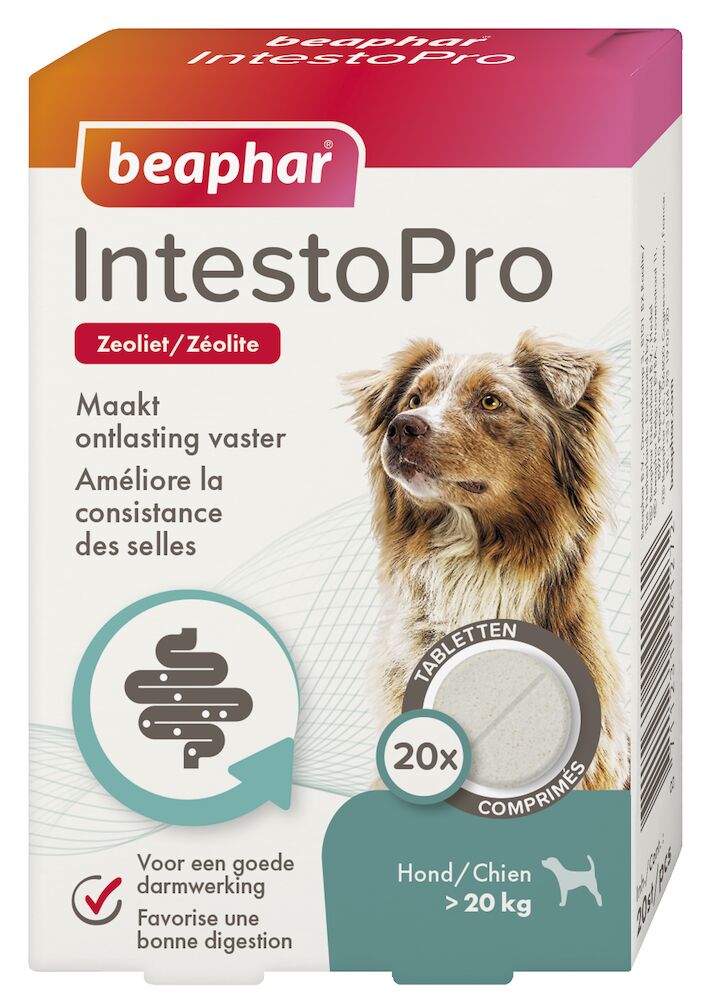 IntestoPro, comprimés pour améliorer la consistance des selles
pour chiens (> 20 kg)