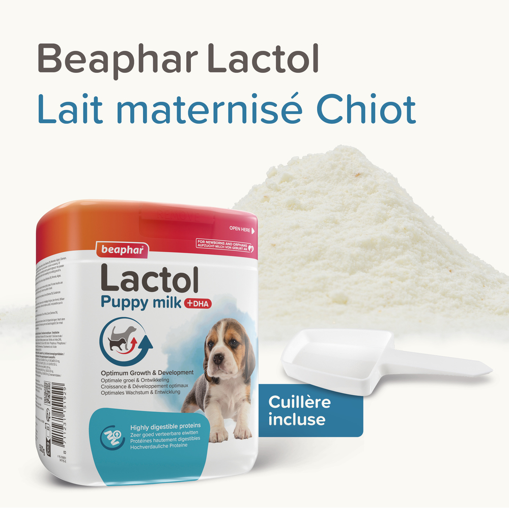 LACTOL, lait maternisé pour chiot