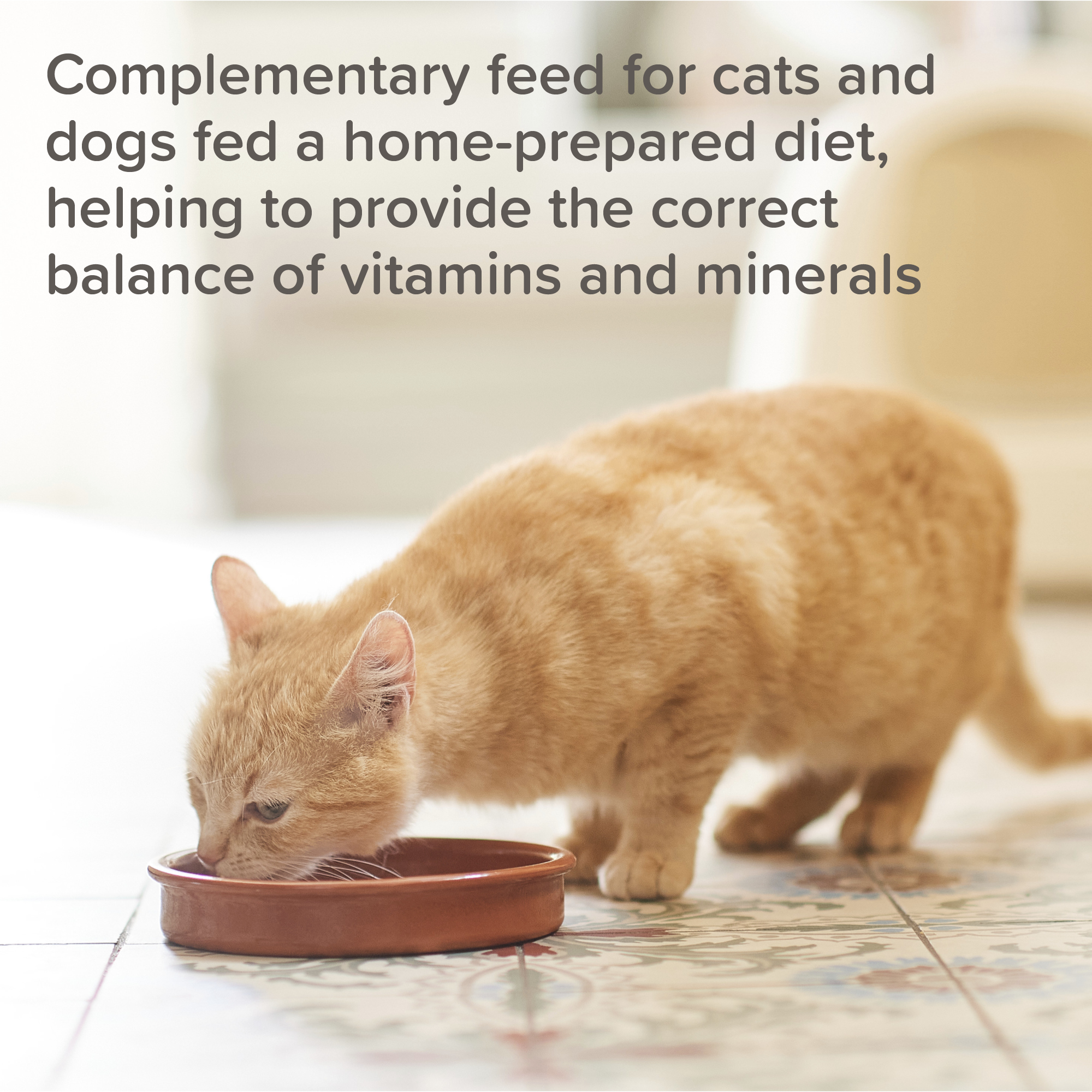 Beaphar Bone Builder for Cats and Dogs, 500g