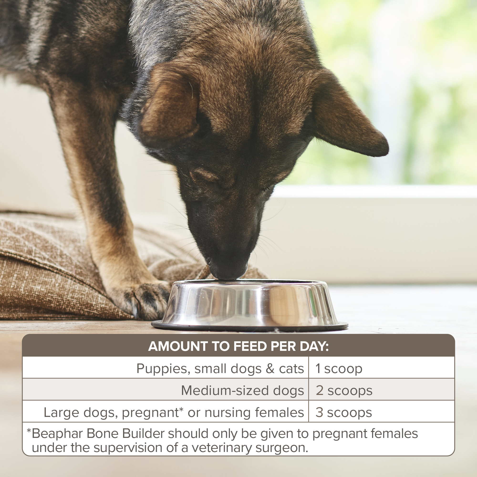 Beaphar Bone Builder for Cats and Dogs, 500g