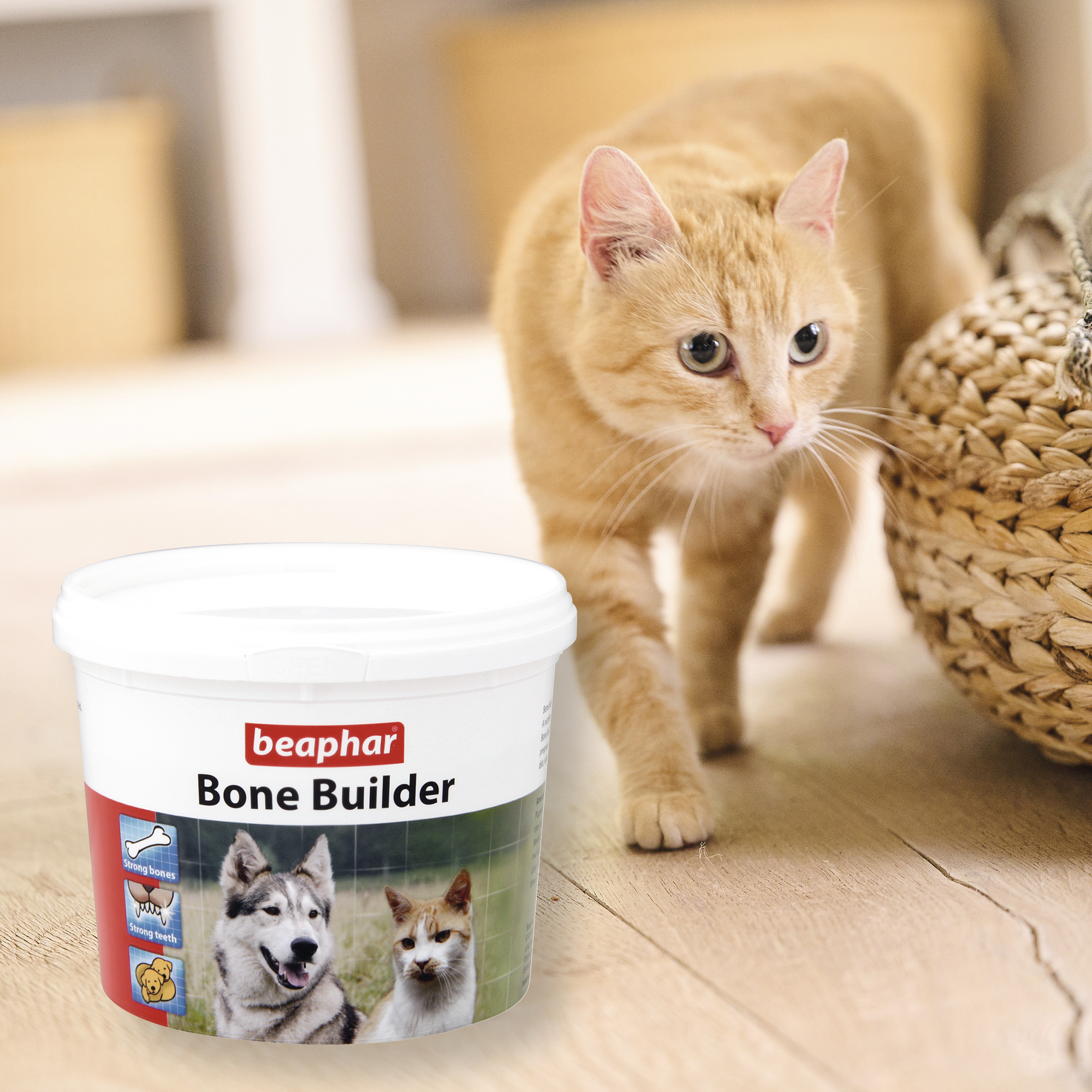 Beaphar Bone Builder for Cats and Dogs, 500g