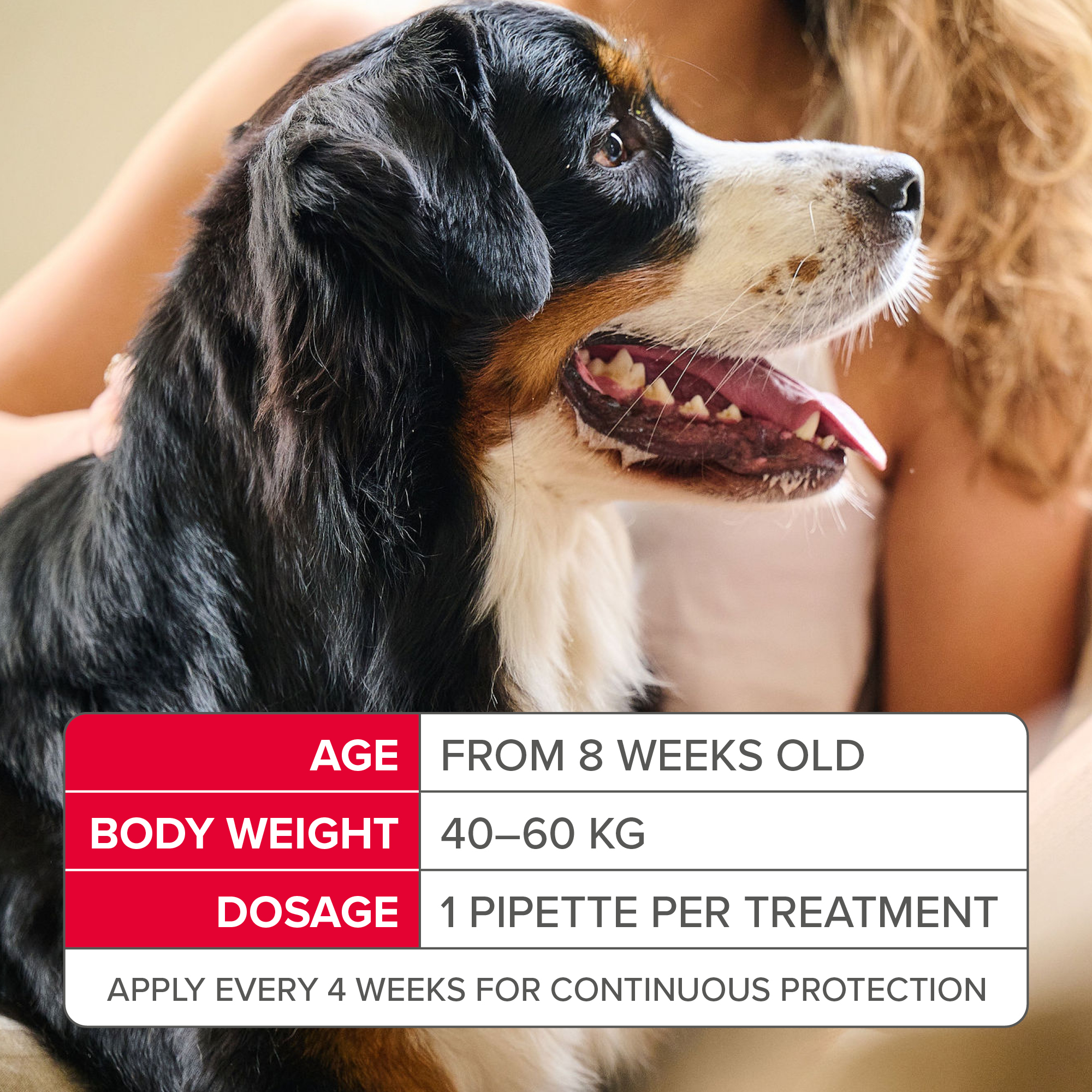 Beaphar FIPROtec® Flea & Tick Spot-On for Extra Large Dogs (40-60kg), 4 Pipettes