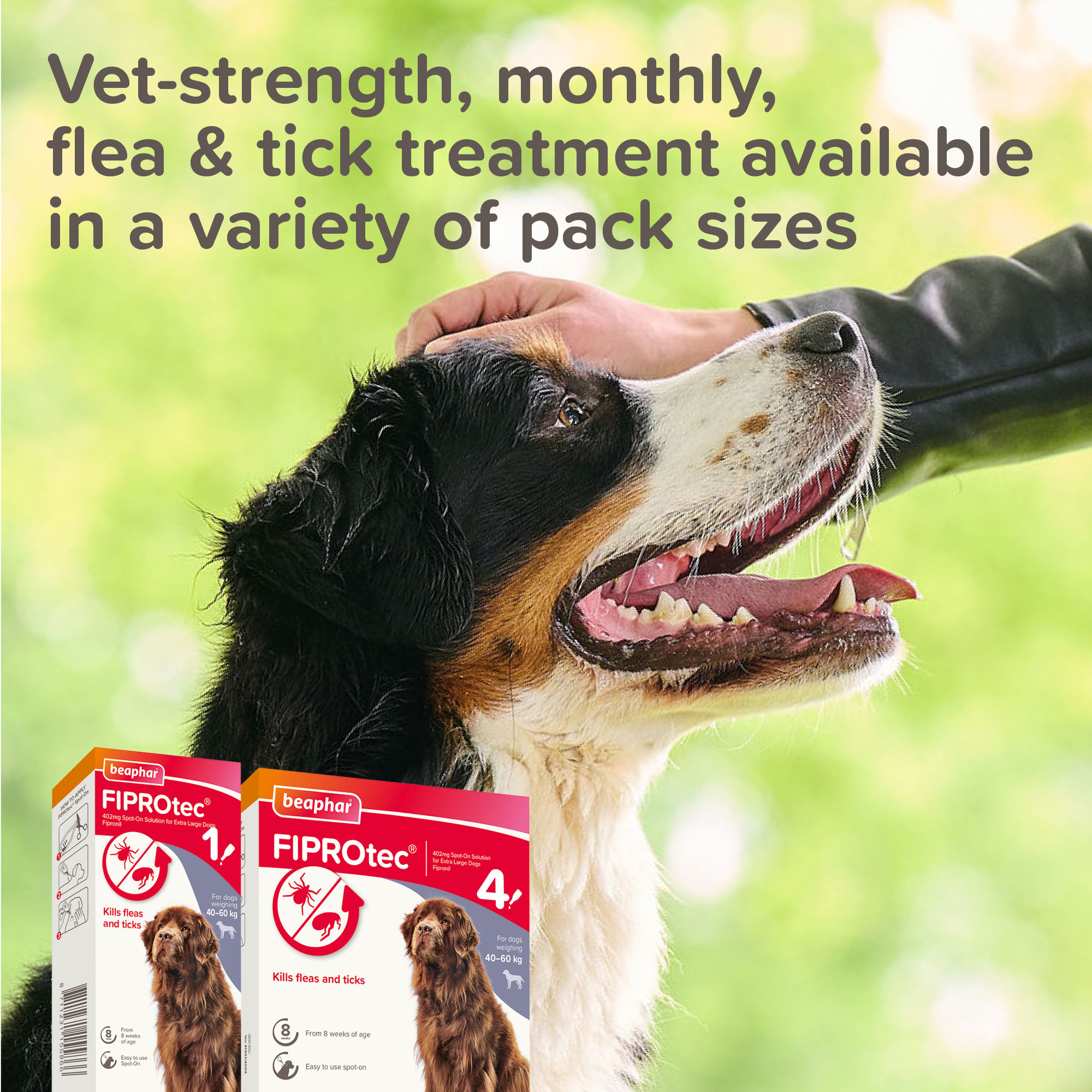 Beaphar FIPROtec® Flea & Tick Spot-On for Extra Large Dogs (40-60kg), 4 Pipettes
