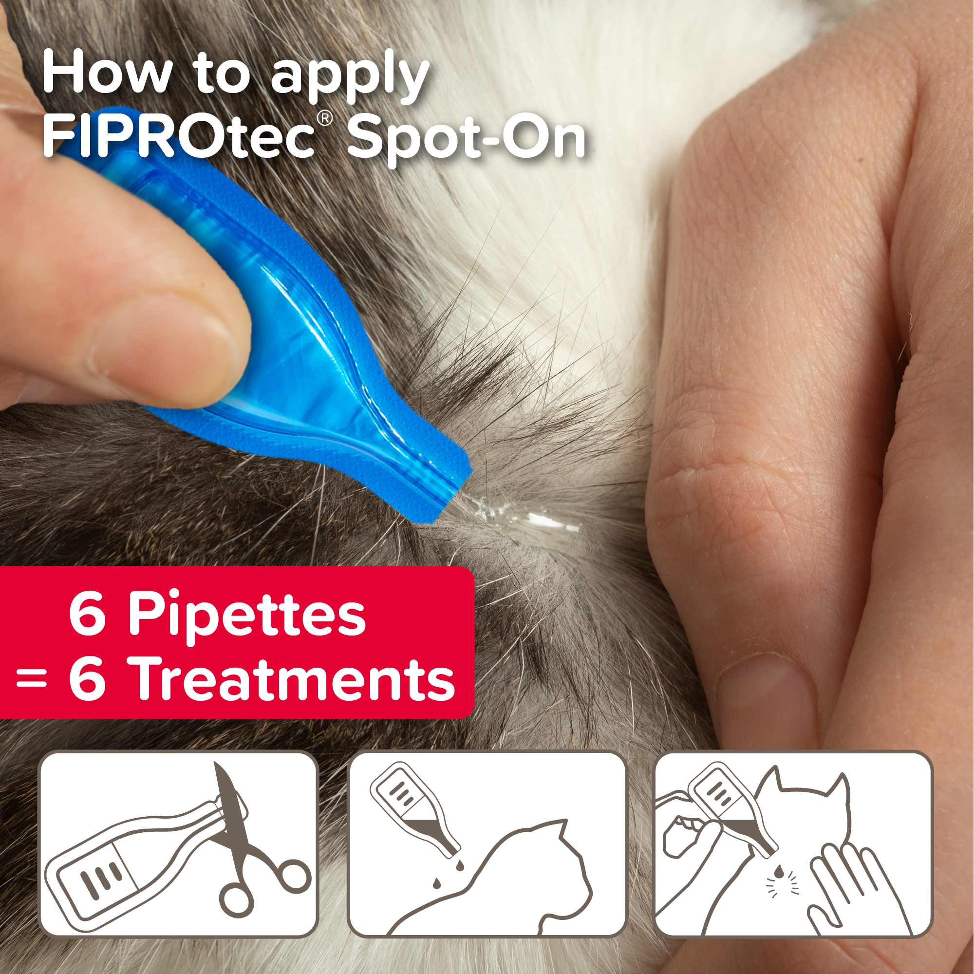 Beaphar FIPROtec® Flea & Tick Spot-On for Cats | 6 Pipettes