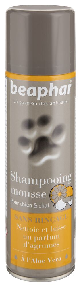 Shampooing mousse, sans rinçage, à l’aloe vera