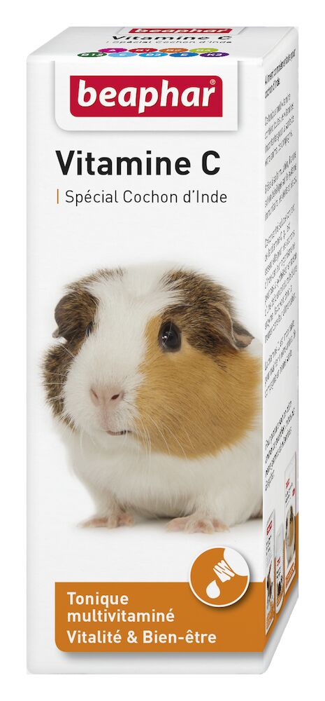 Vitamine C, cochon d’Inde