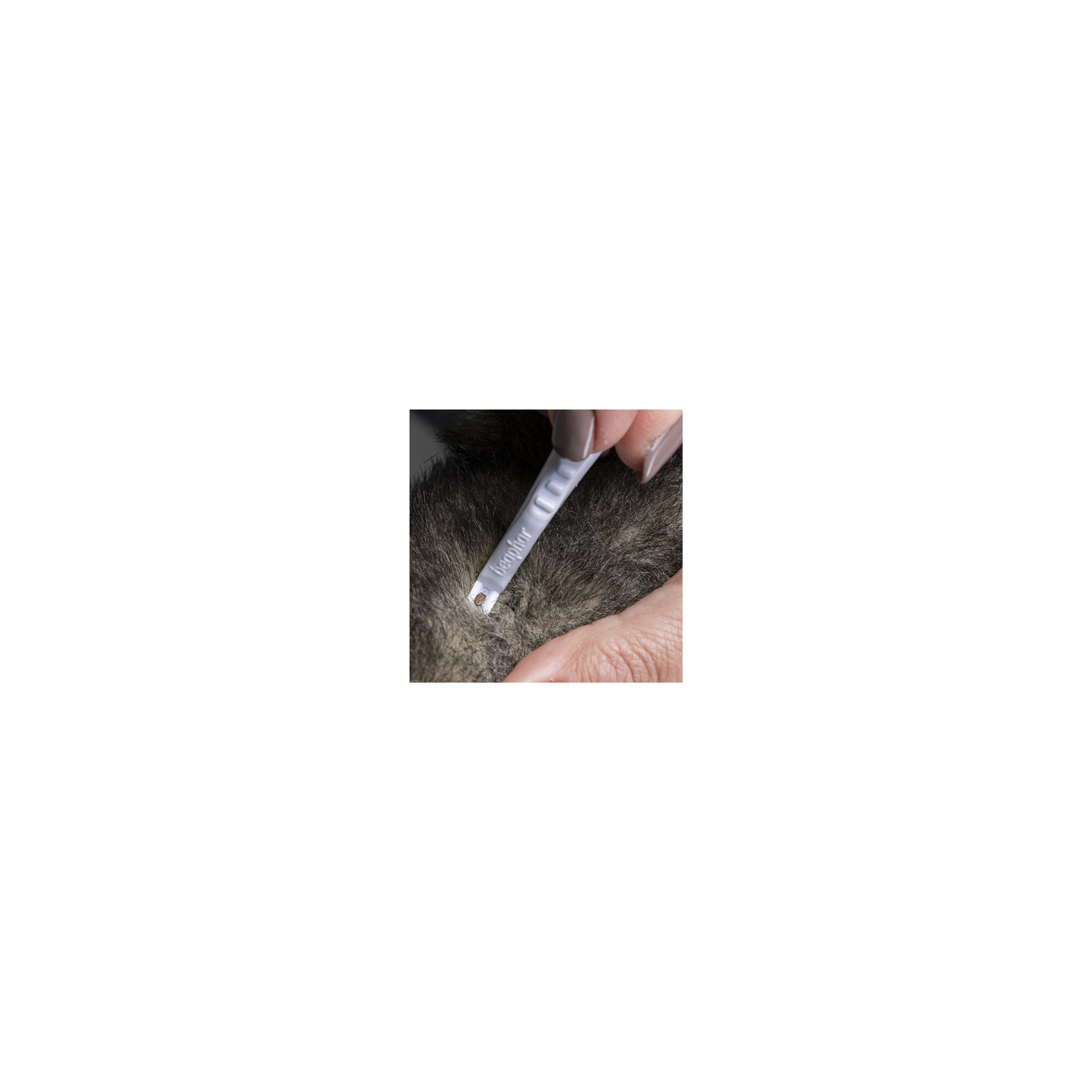 Tick Pen for Cats and Dogs