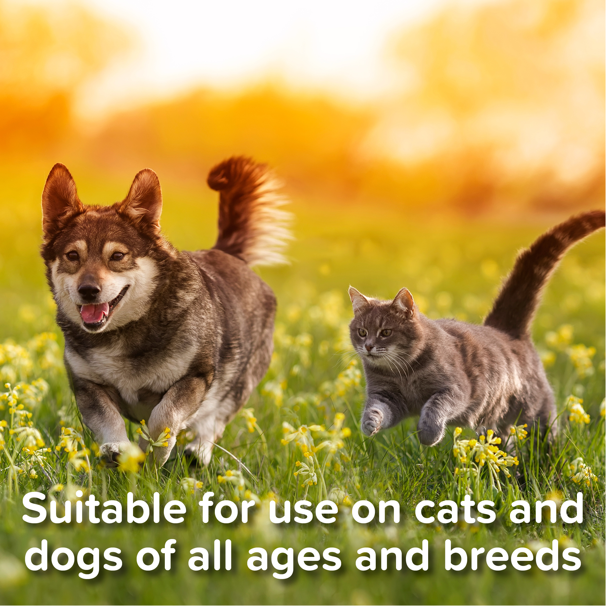 Tick Pen for Cats and Dogs
