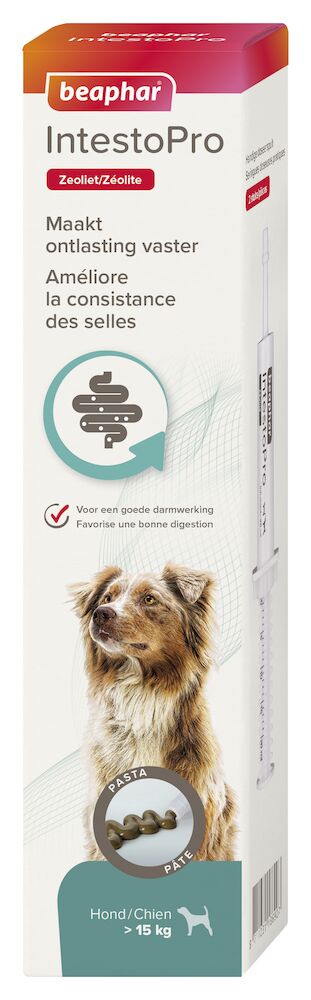 IntestoPro, pâte pour améliorer la consistance des selles pour chiens