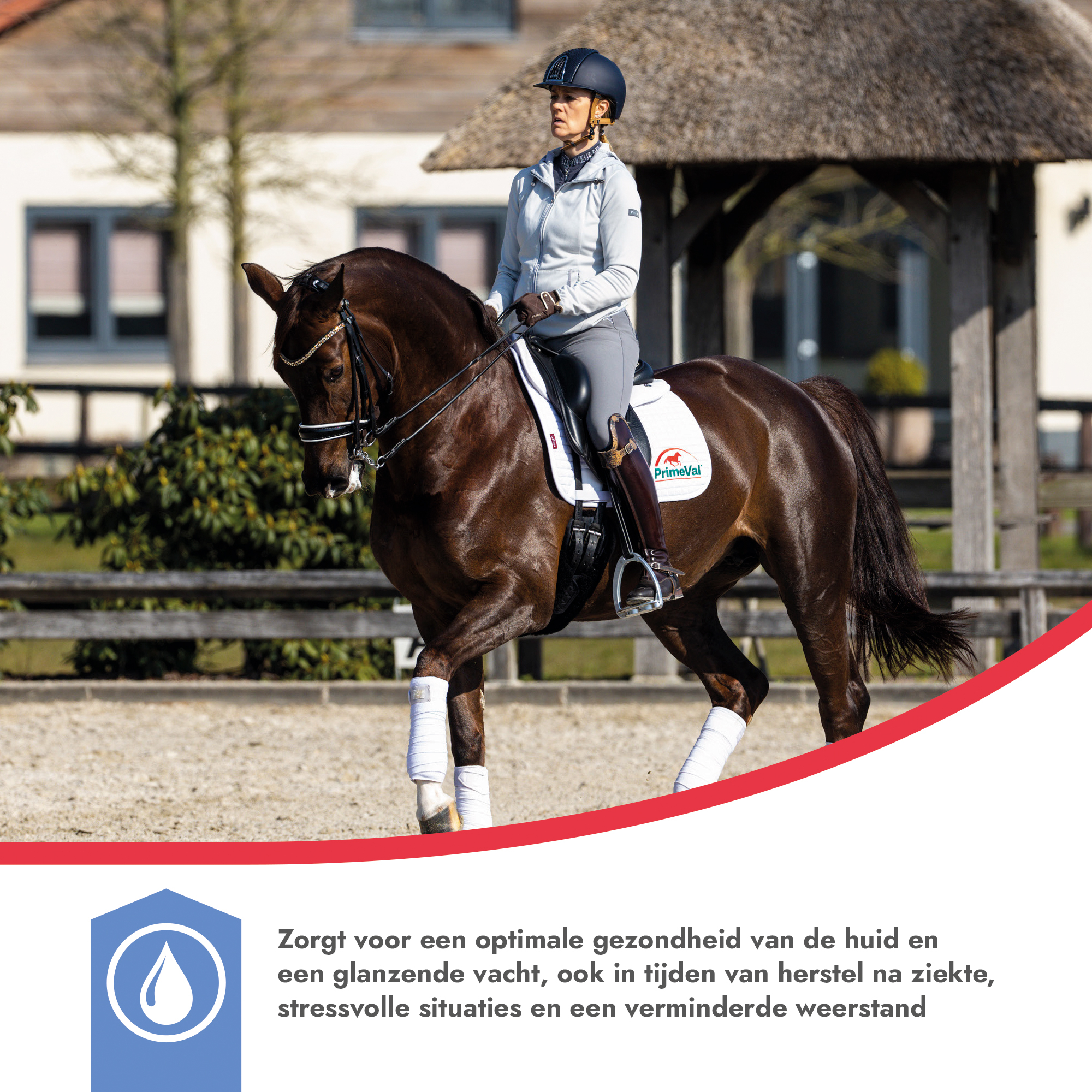 PrimeVal Omega 3-6-9 Paard 1 l