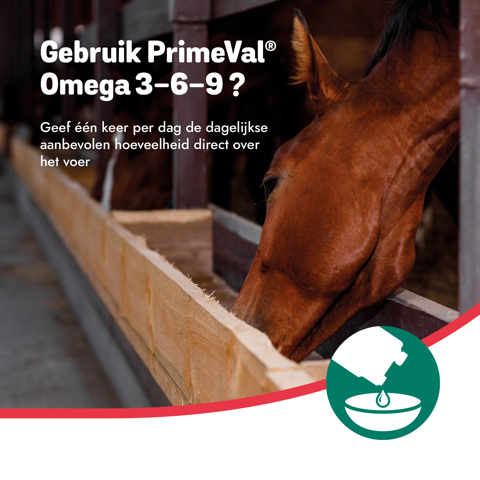 PrimeVal Omega 3-6-9 Paard 1 l