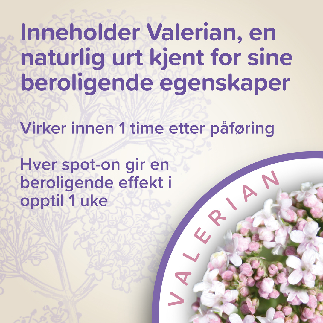 Beaphar Calming Spot On katt