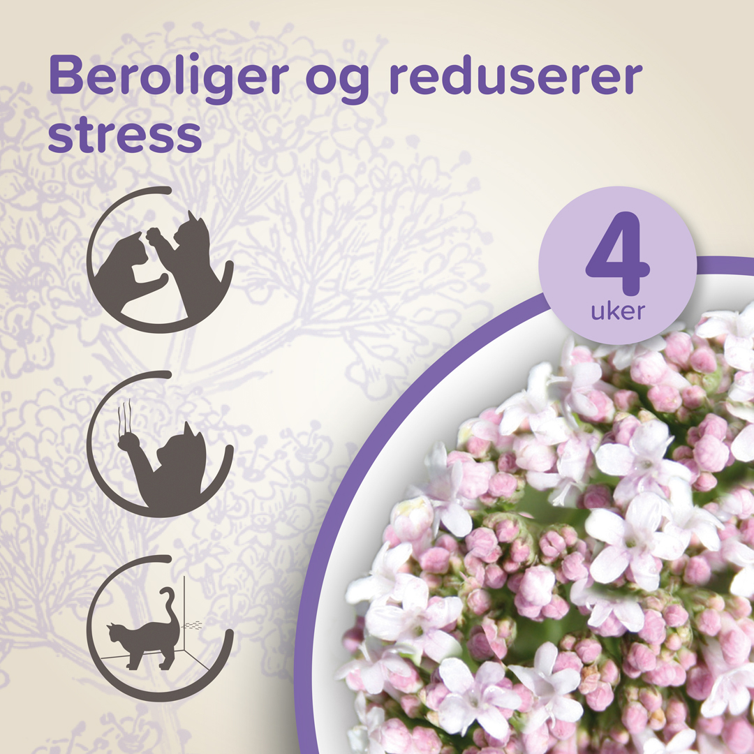 Beaphar Calming Diffuser refill katt