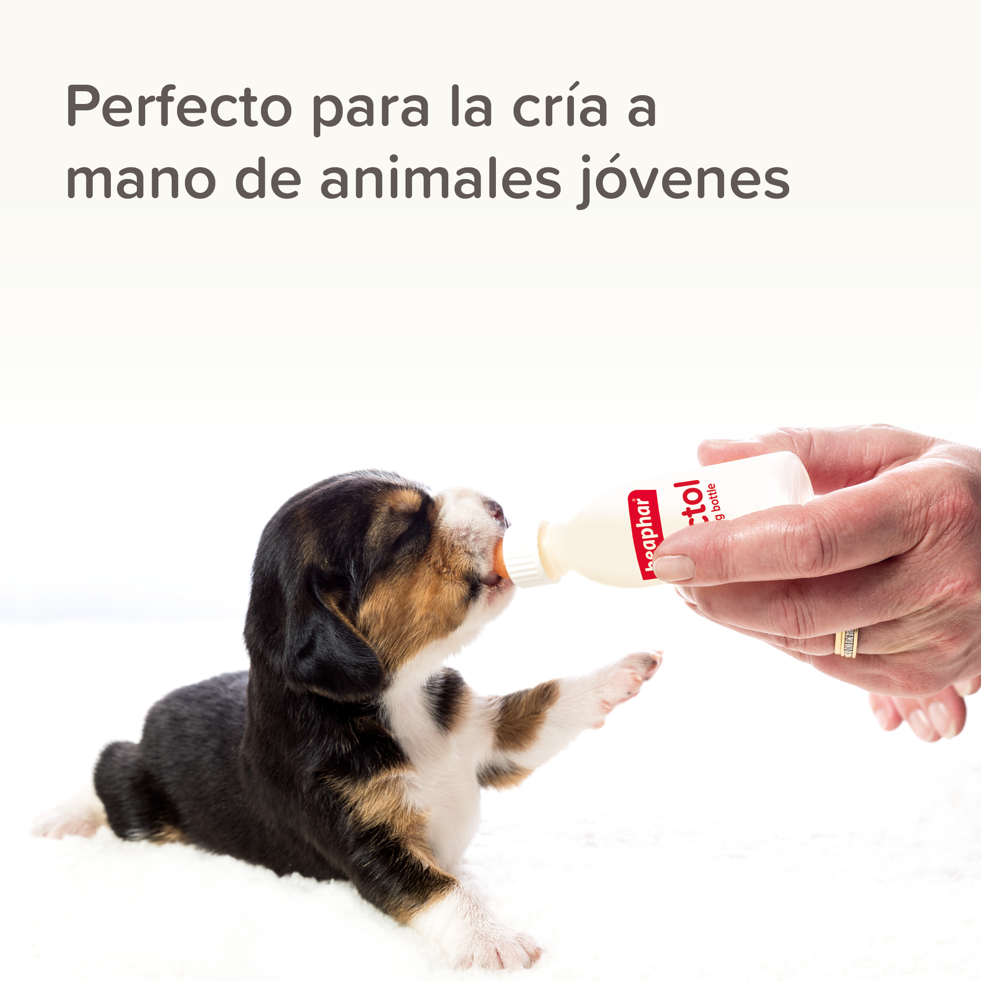 Beaphar Lactol Kit: Biberon + 6 Tetinas + Limpiador