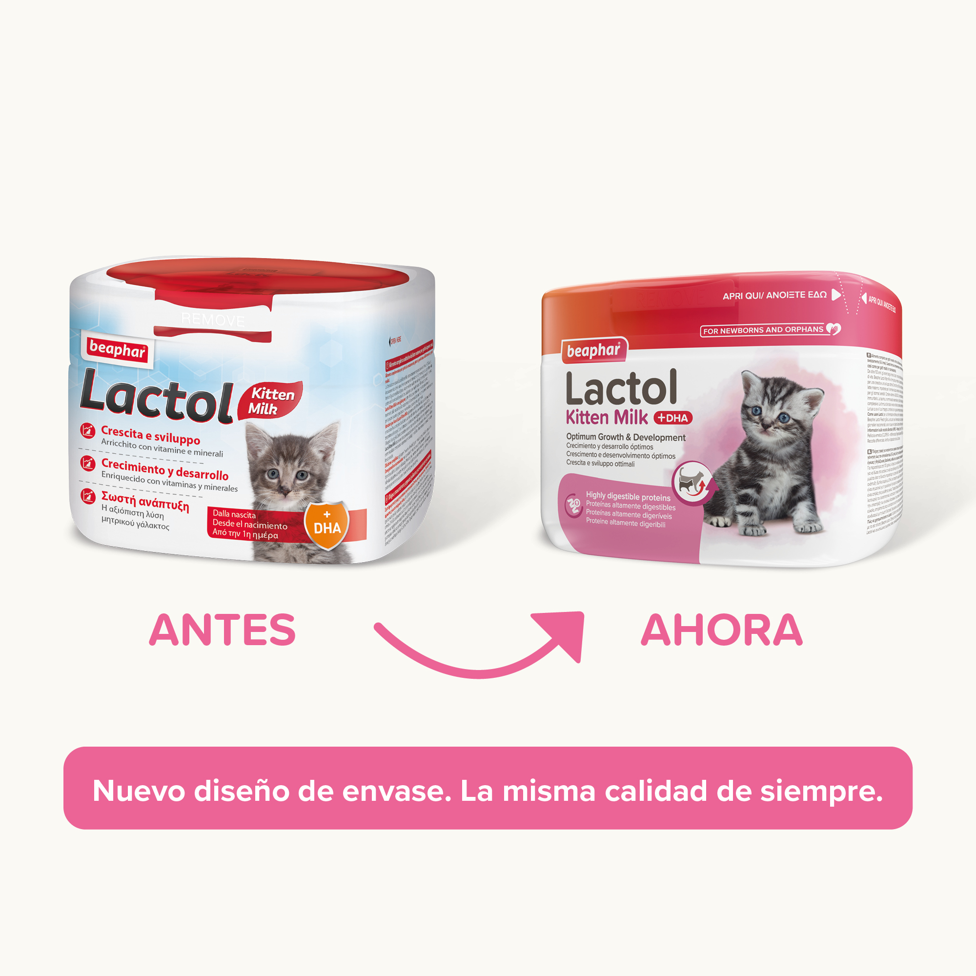 Lactol Kitten Milk Leche En Polvo 250g