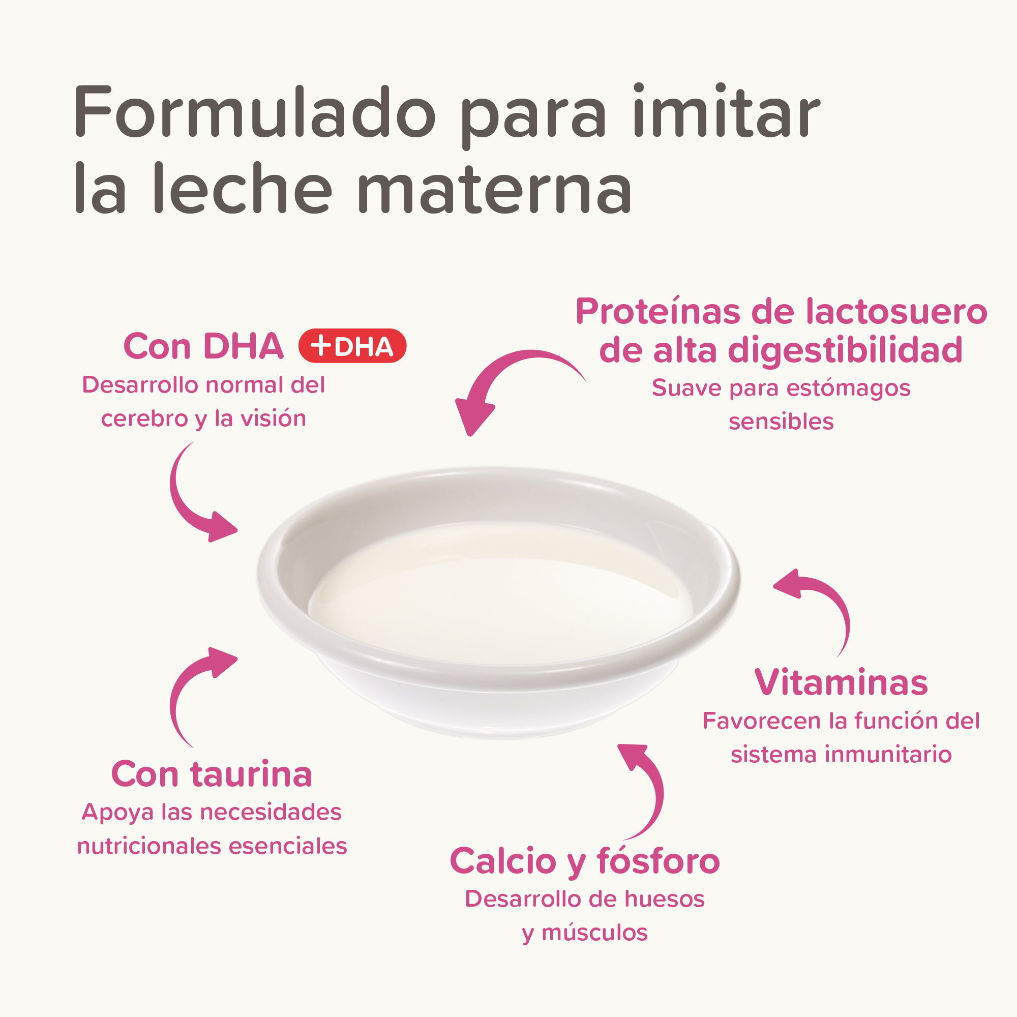 Lactol Kitten Milk Leche En Polvo 250g