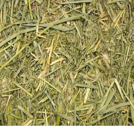 Care+® Széna nyulaknak és rágcsálóknak, 1kg