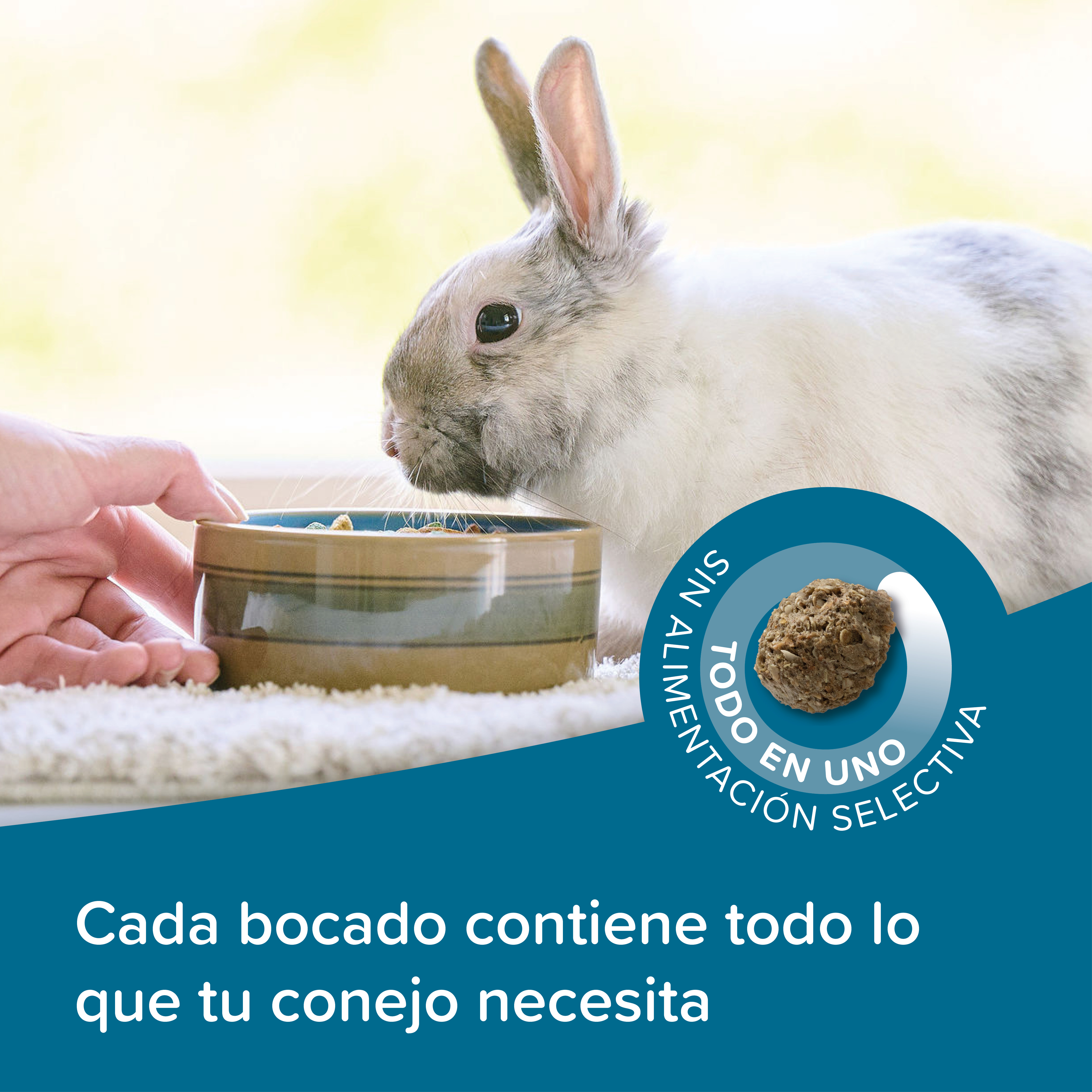 Beaphar Care+ Conejo Senior - 1,5kg