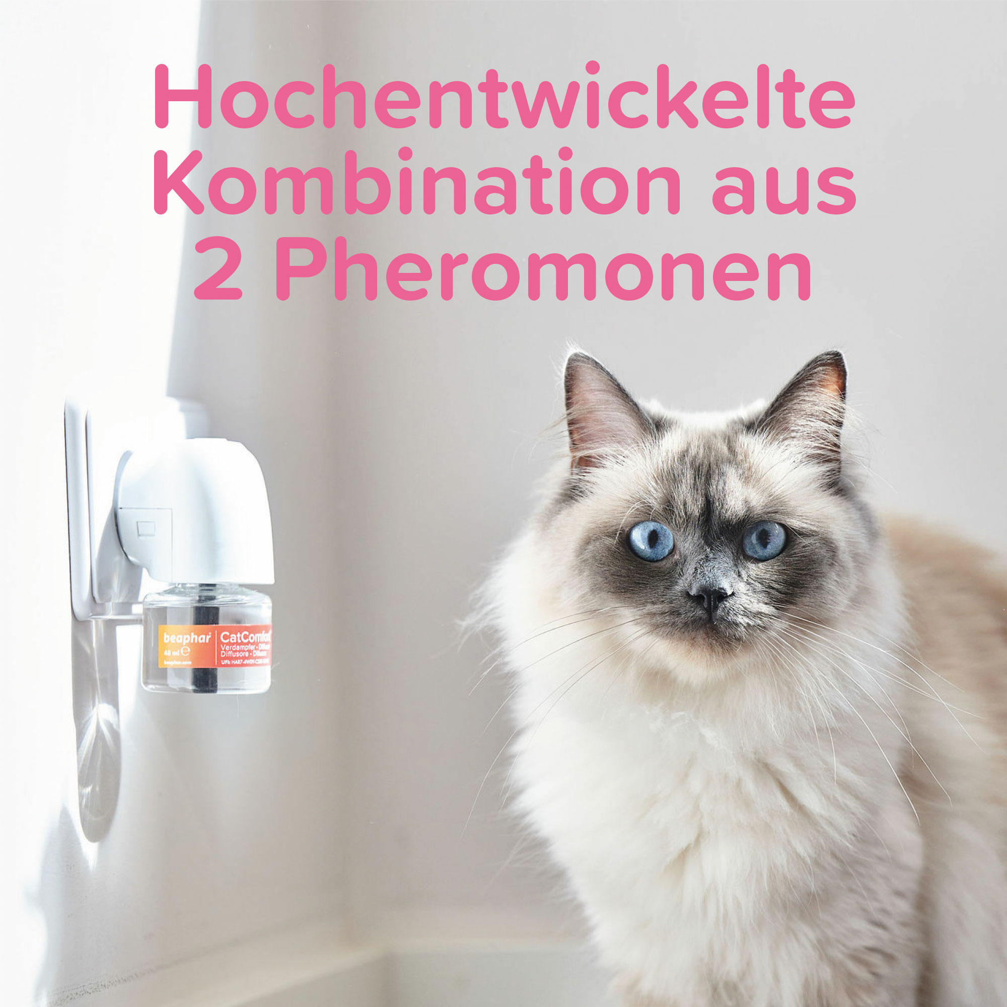 CatComfort® Excellence Nachfüll-Flakon für Verdampfer, 48ml