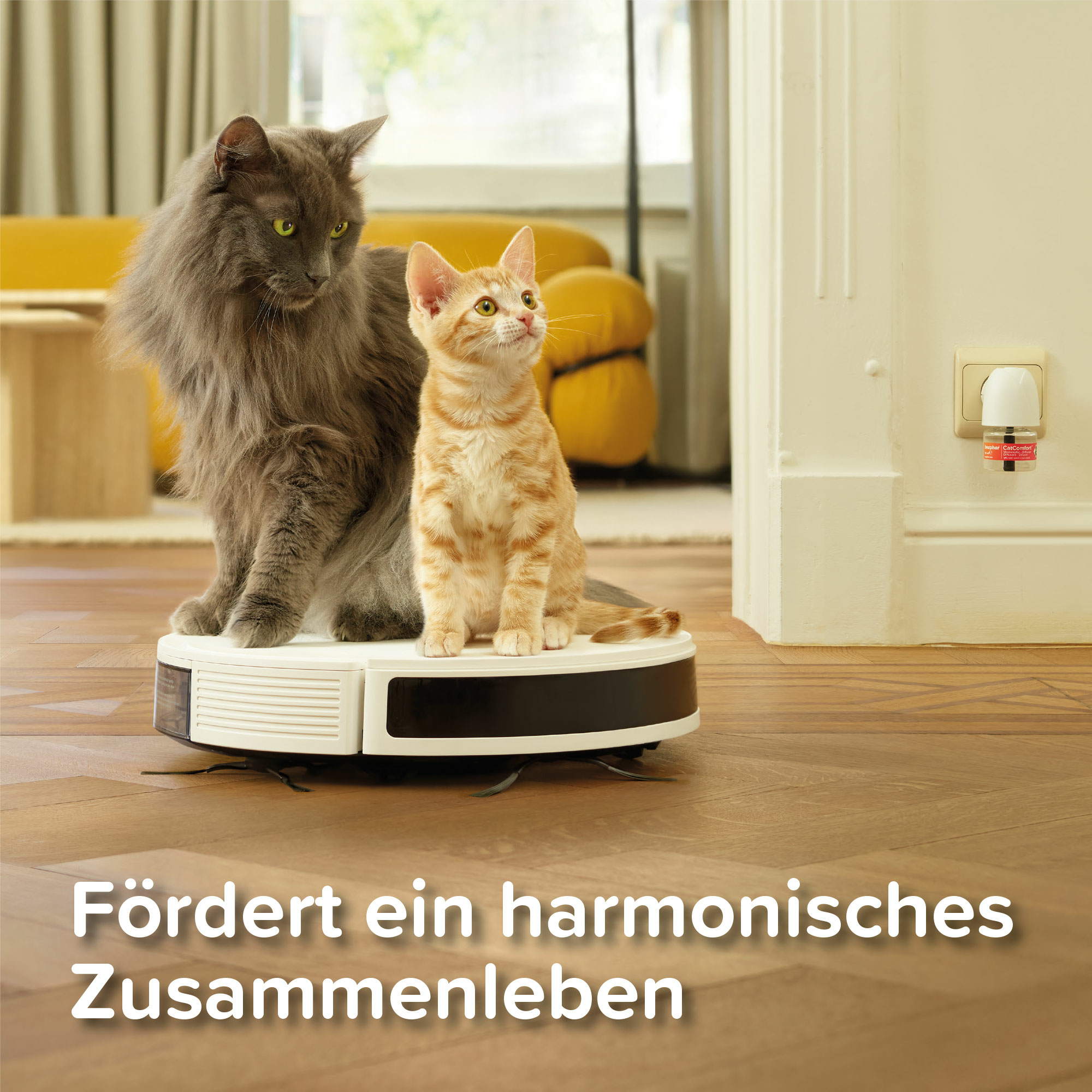 CatComfort® Excellence Nachfüll-Flakon für Verdampfer, 48ml