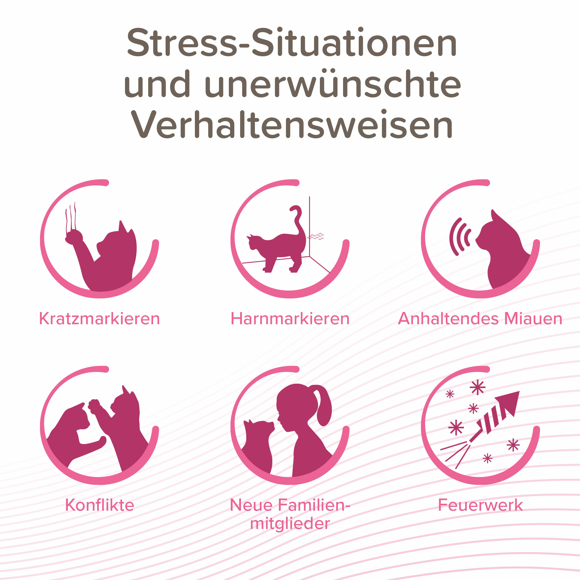 CatComfort® Excellence Nachfüll-Flakon für Verdampfer, 48ml