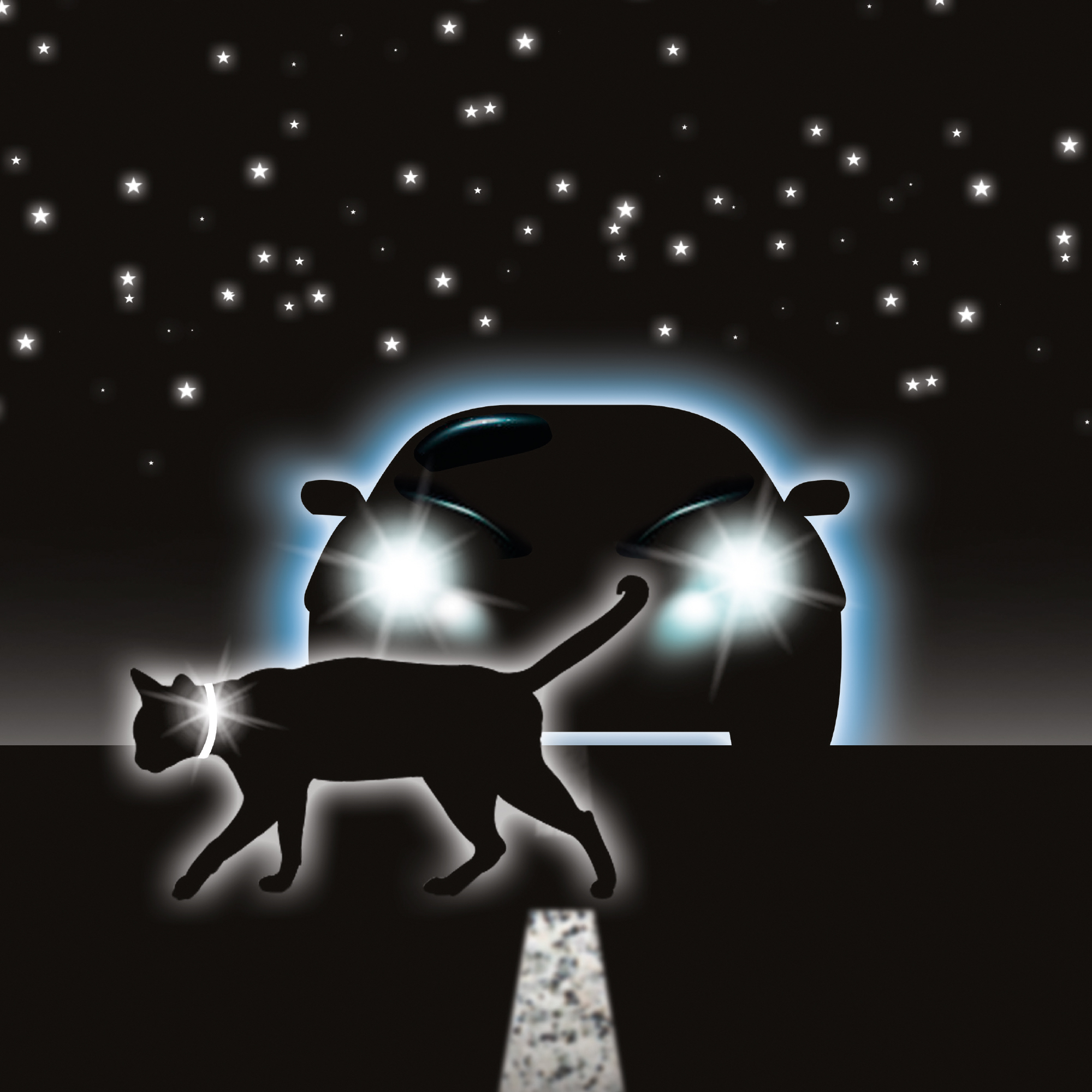 Beaphar Soft Reflective Flea Collar for Cats